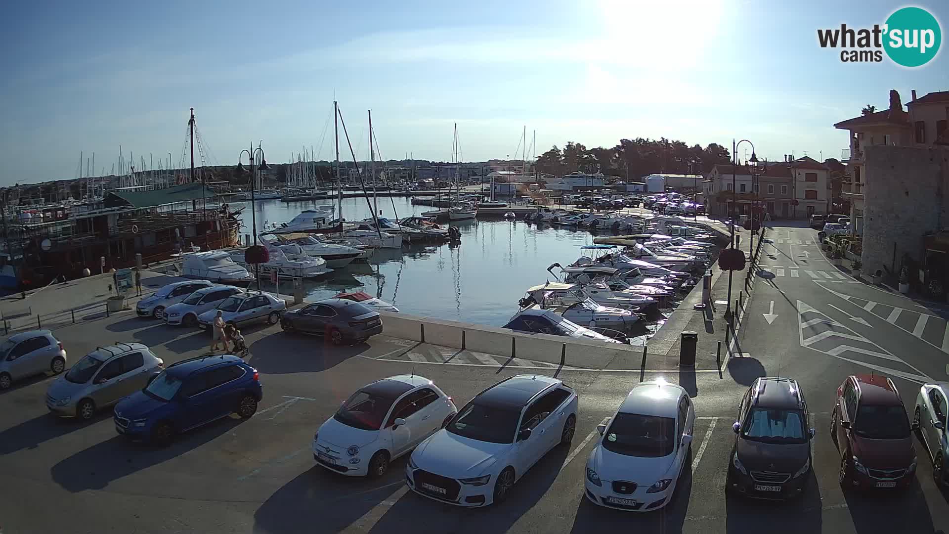 Novigrad | Porporela marina