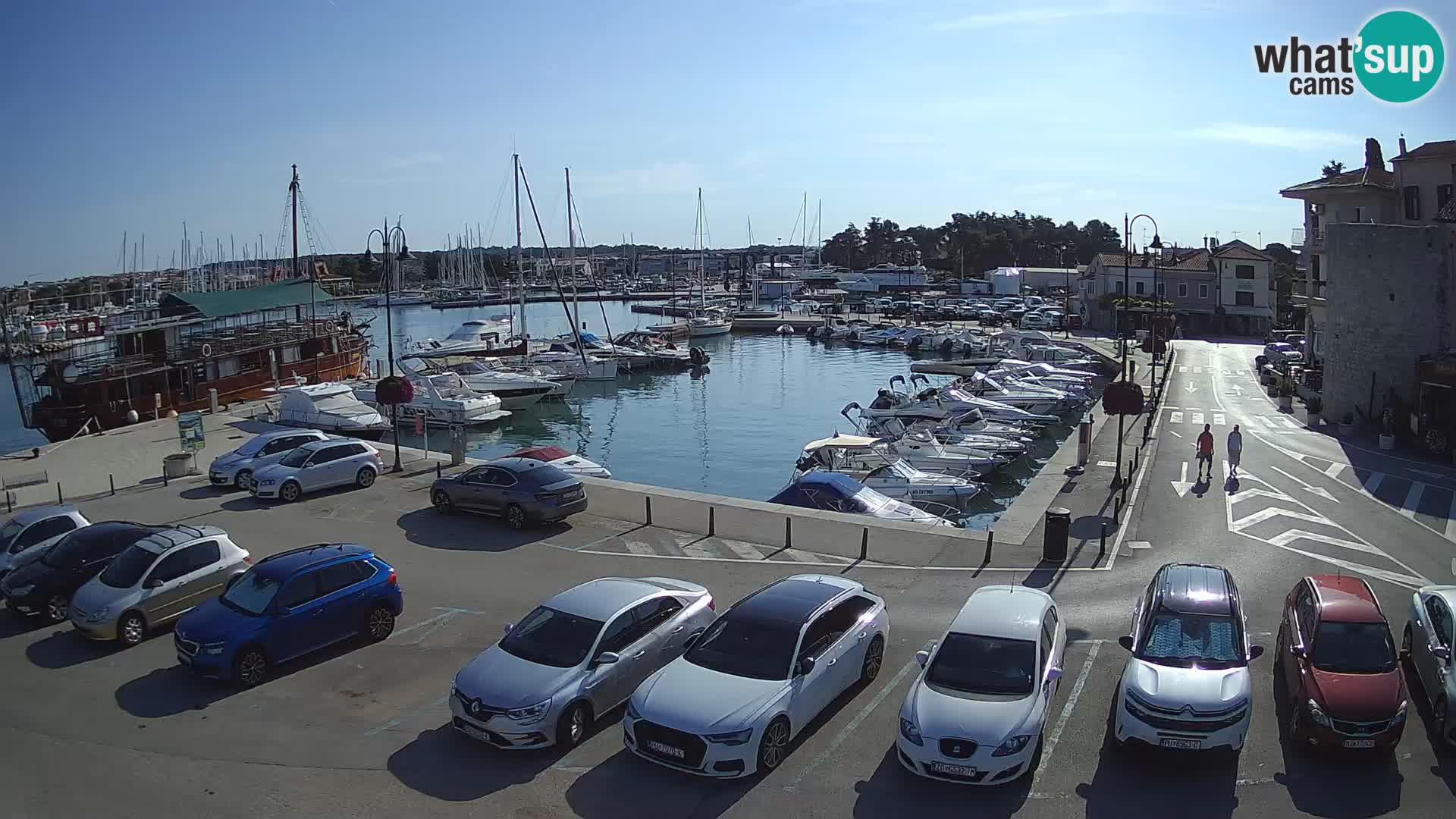 Novigrad | Porporela marina