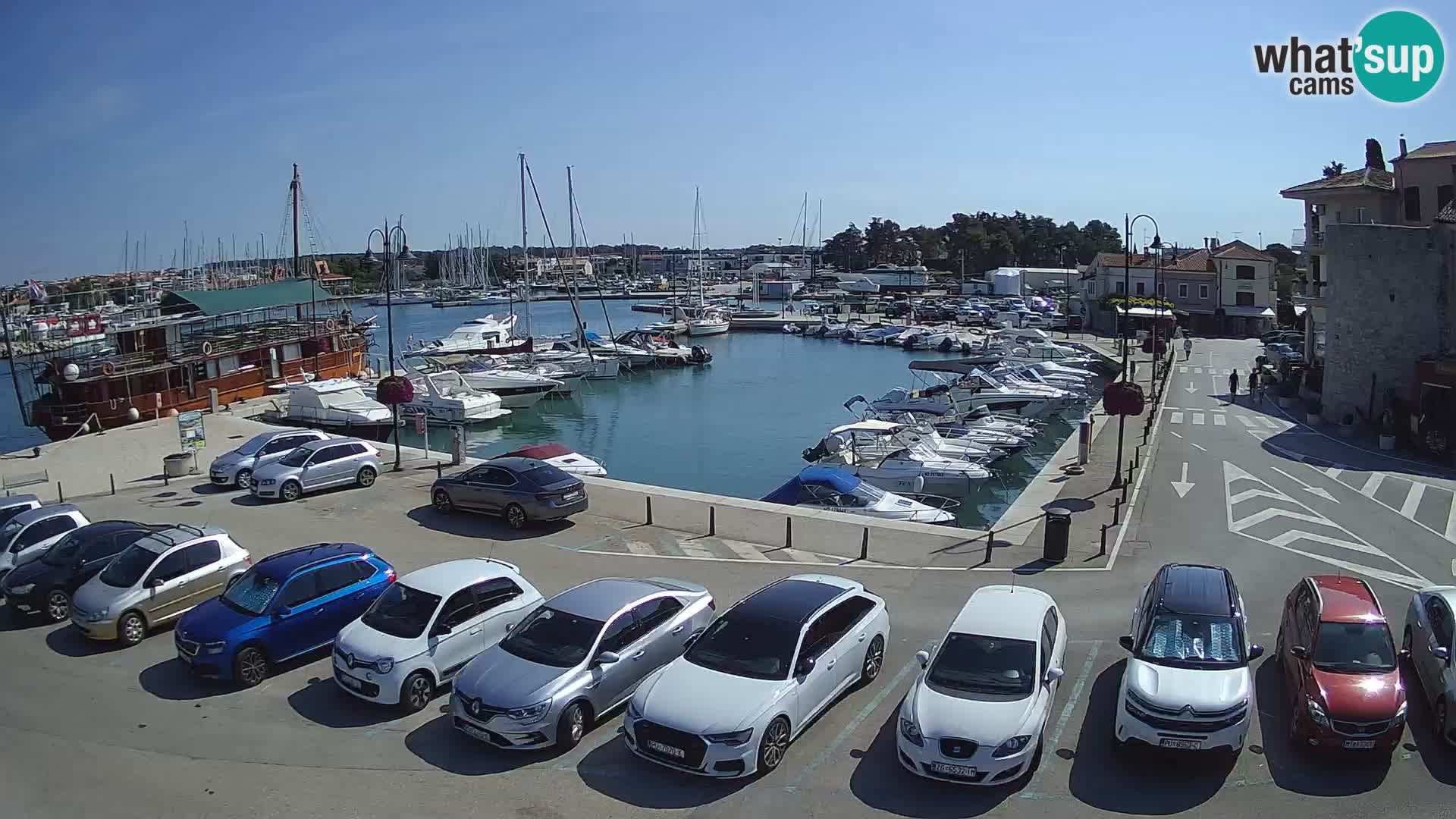 Novigrad | Porporela marina
