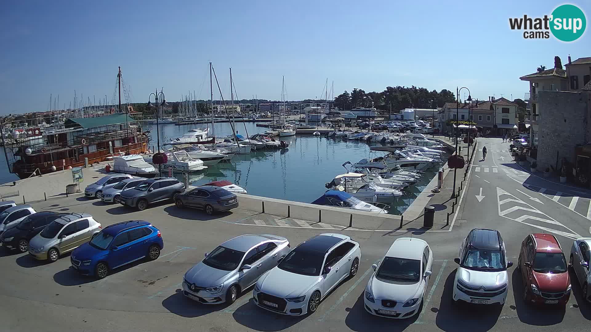 Novigrad | Porporela marina
