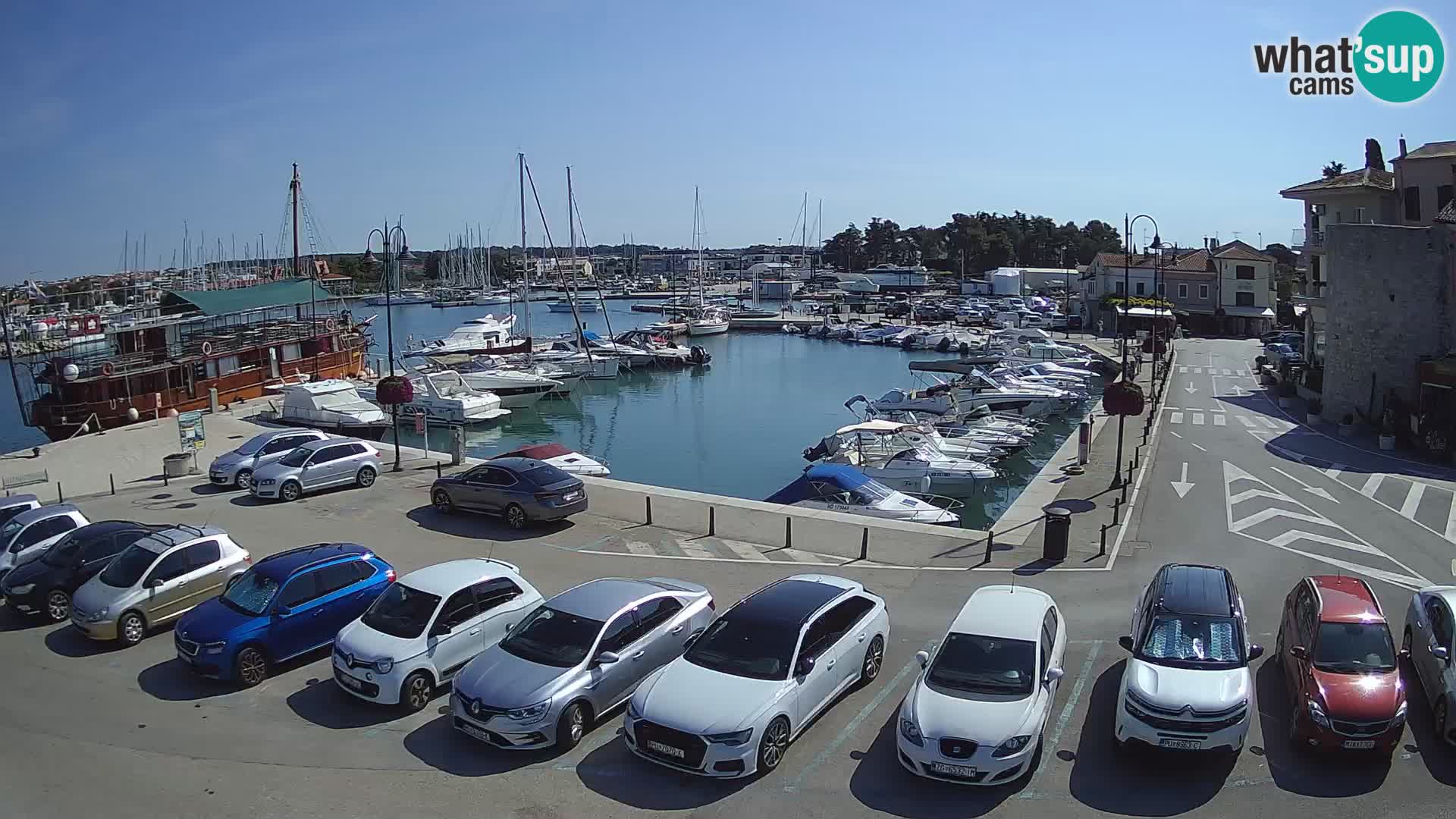 Novigrad | Porporela marina