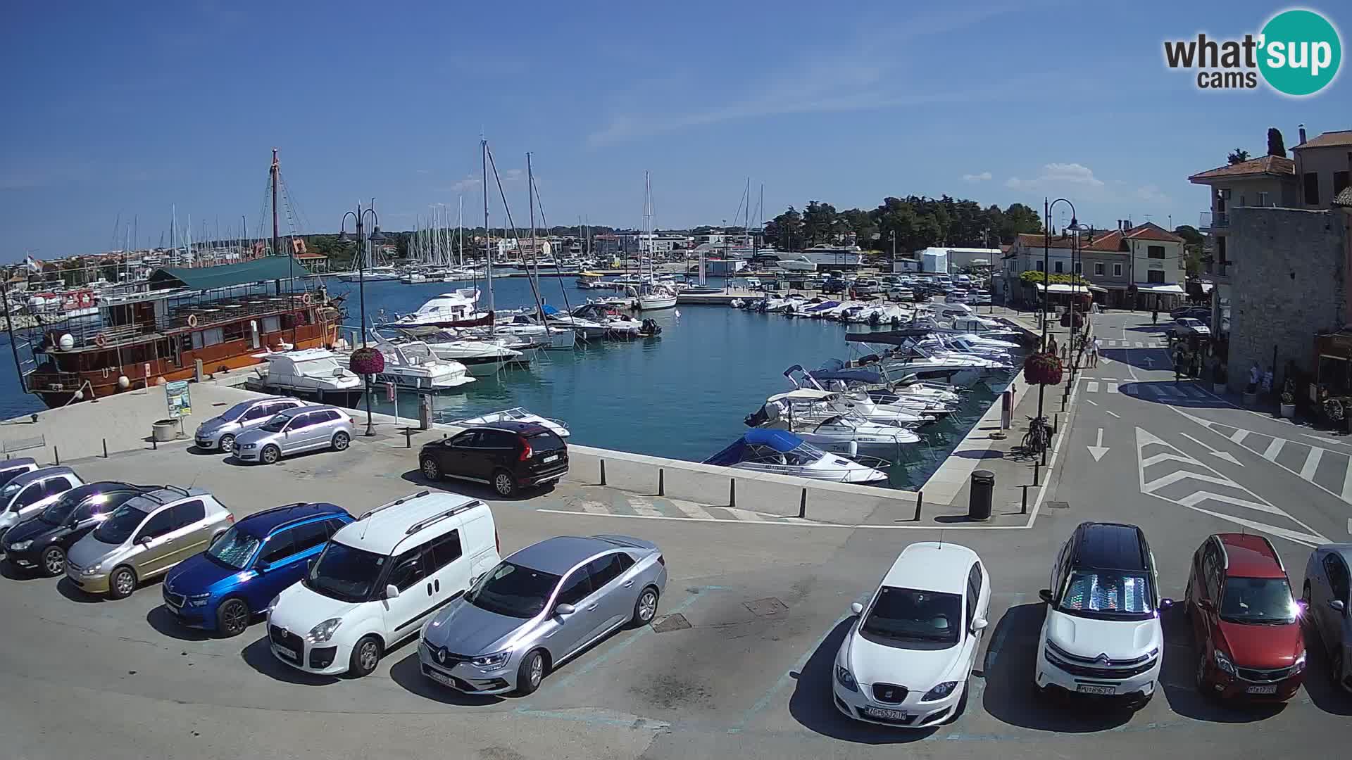 Novigrad | Porporela marina