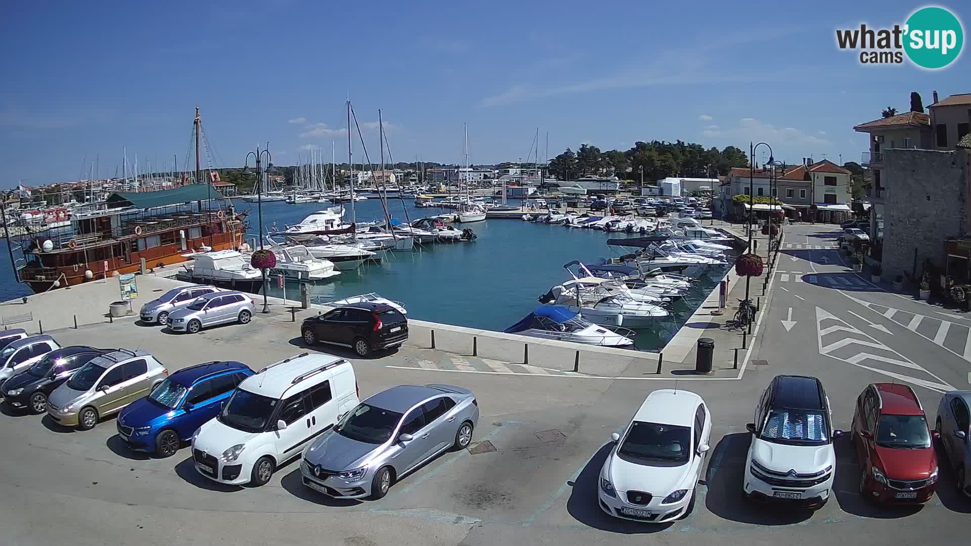 Novigrad | Porporela marina