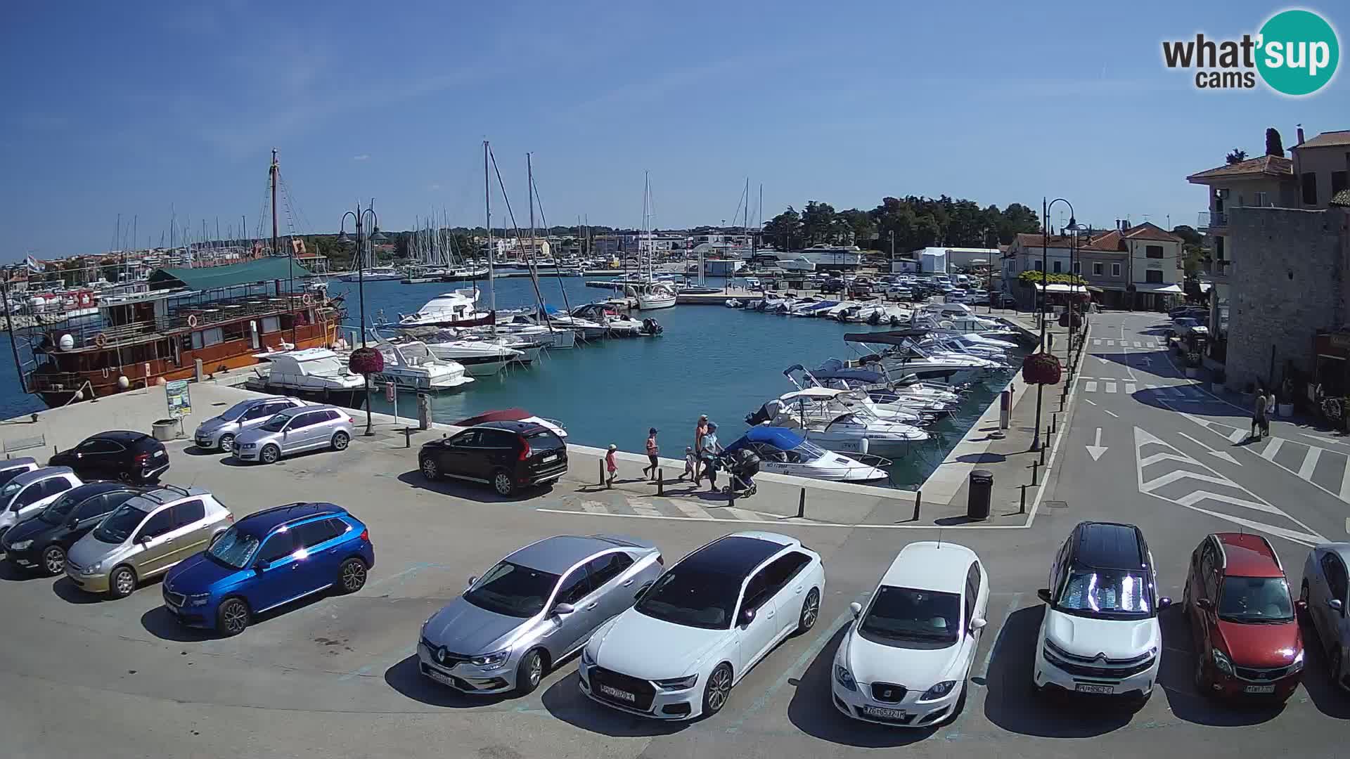 Novigrad | Porporela marina