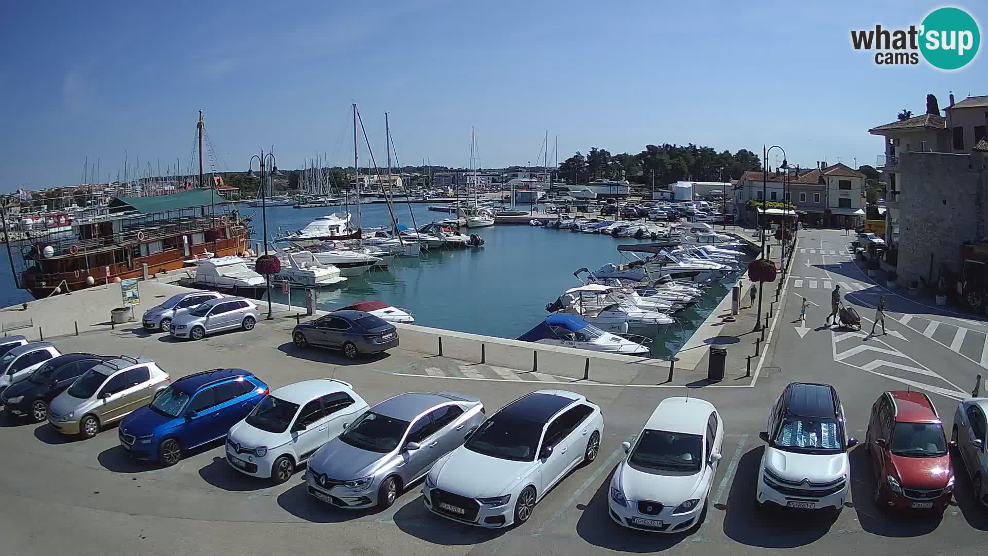 Novigrad | Porporela marina