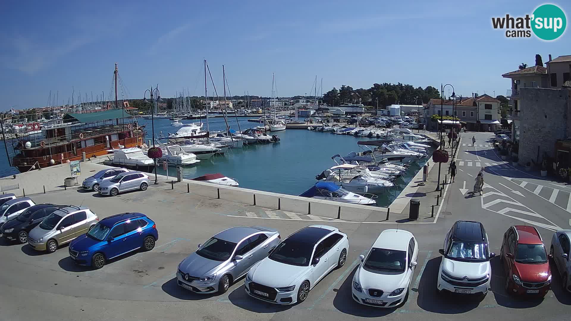 Novigrad | Porporela marina