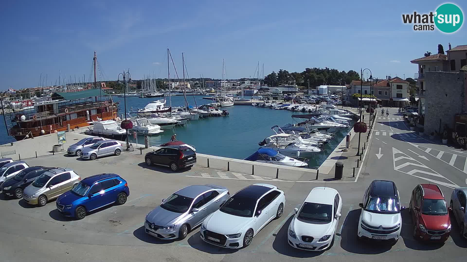 Novigrad | Porporela marina