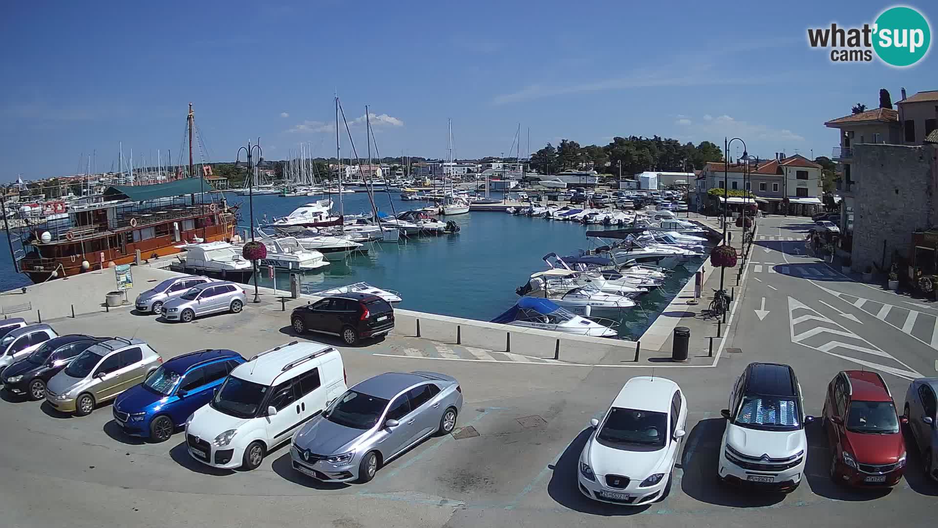 Novigrad | Porporela marina