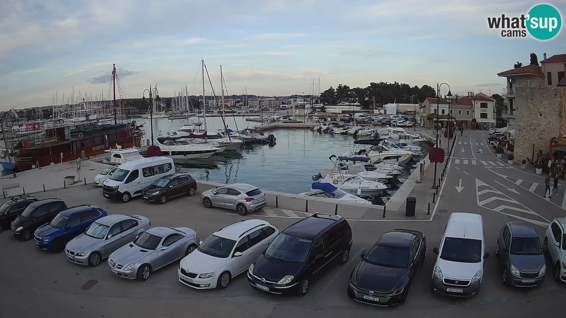 Novigrad | Porporela marina