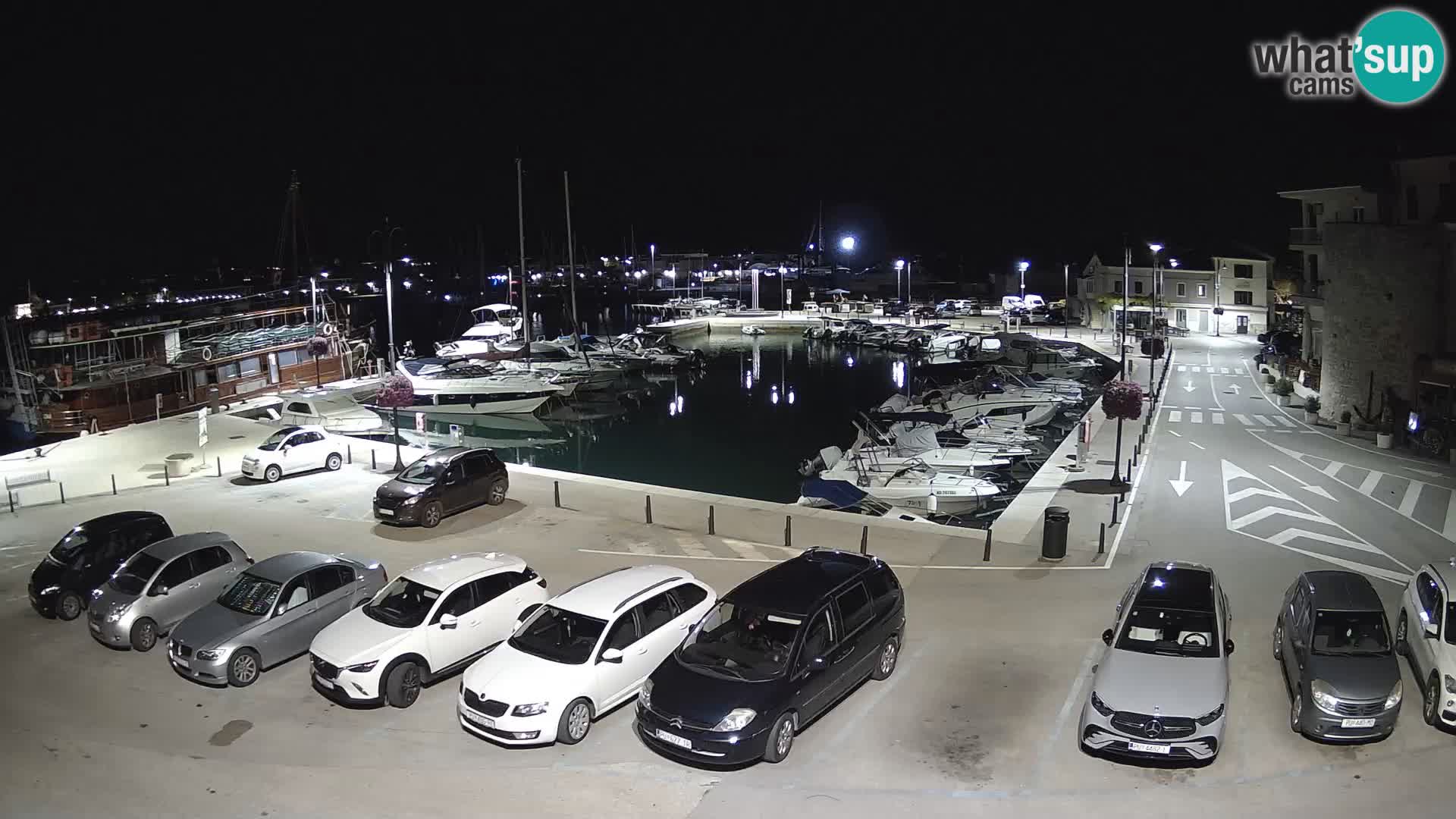 Novigrad | Porporela marina