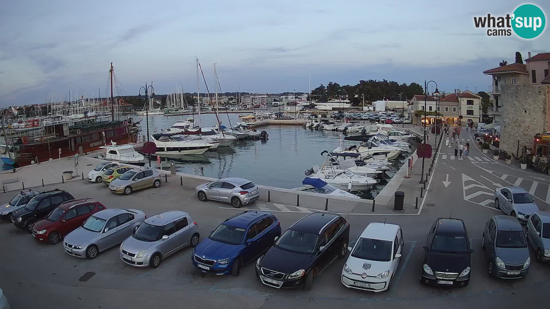 Novigrad | Porporela marina