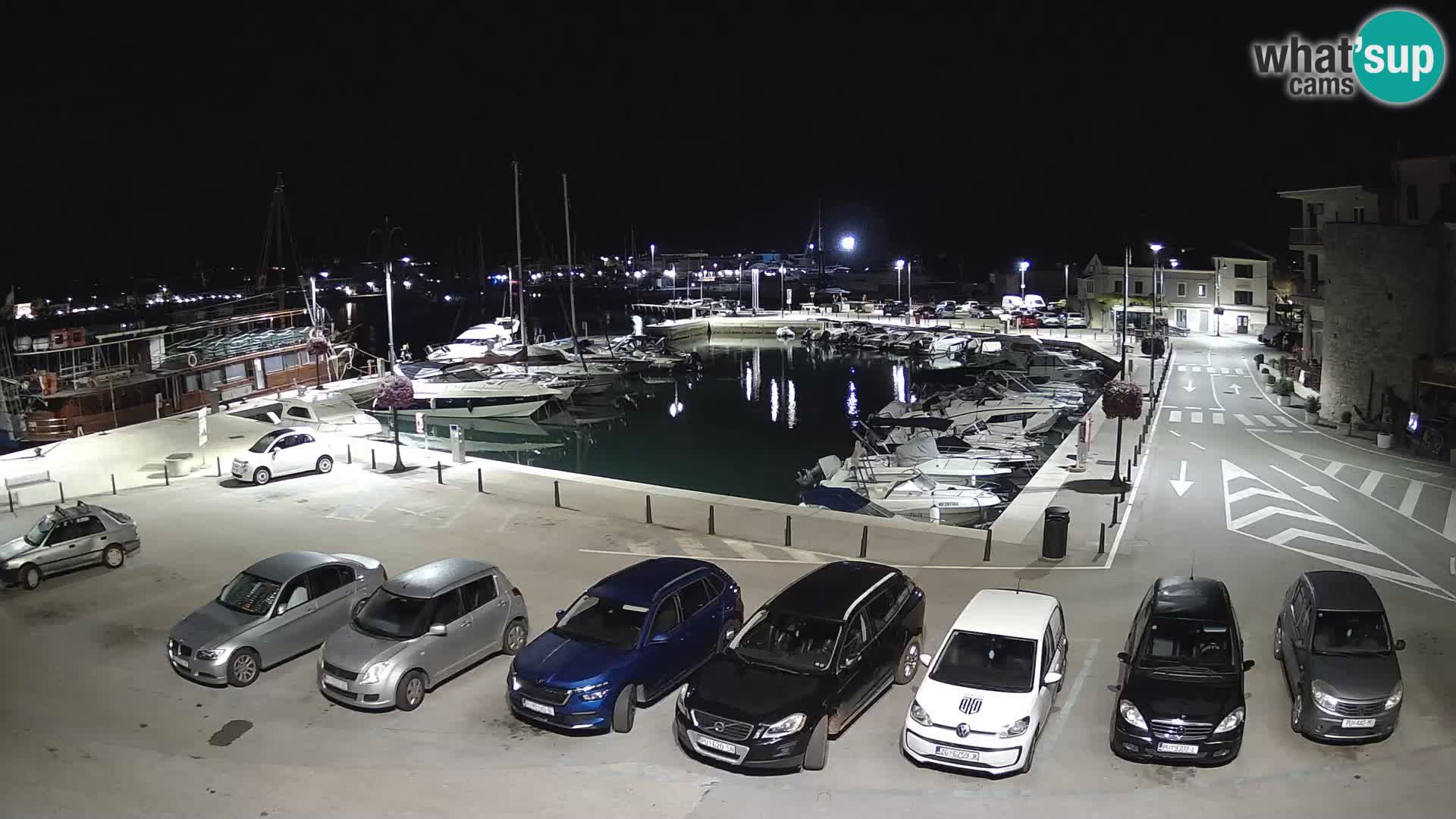 Novigrad | Porporela marina