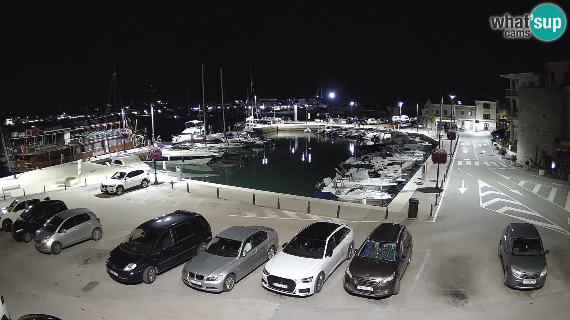 Novigrad | Porporela marina