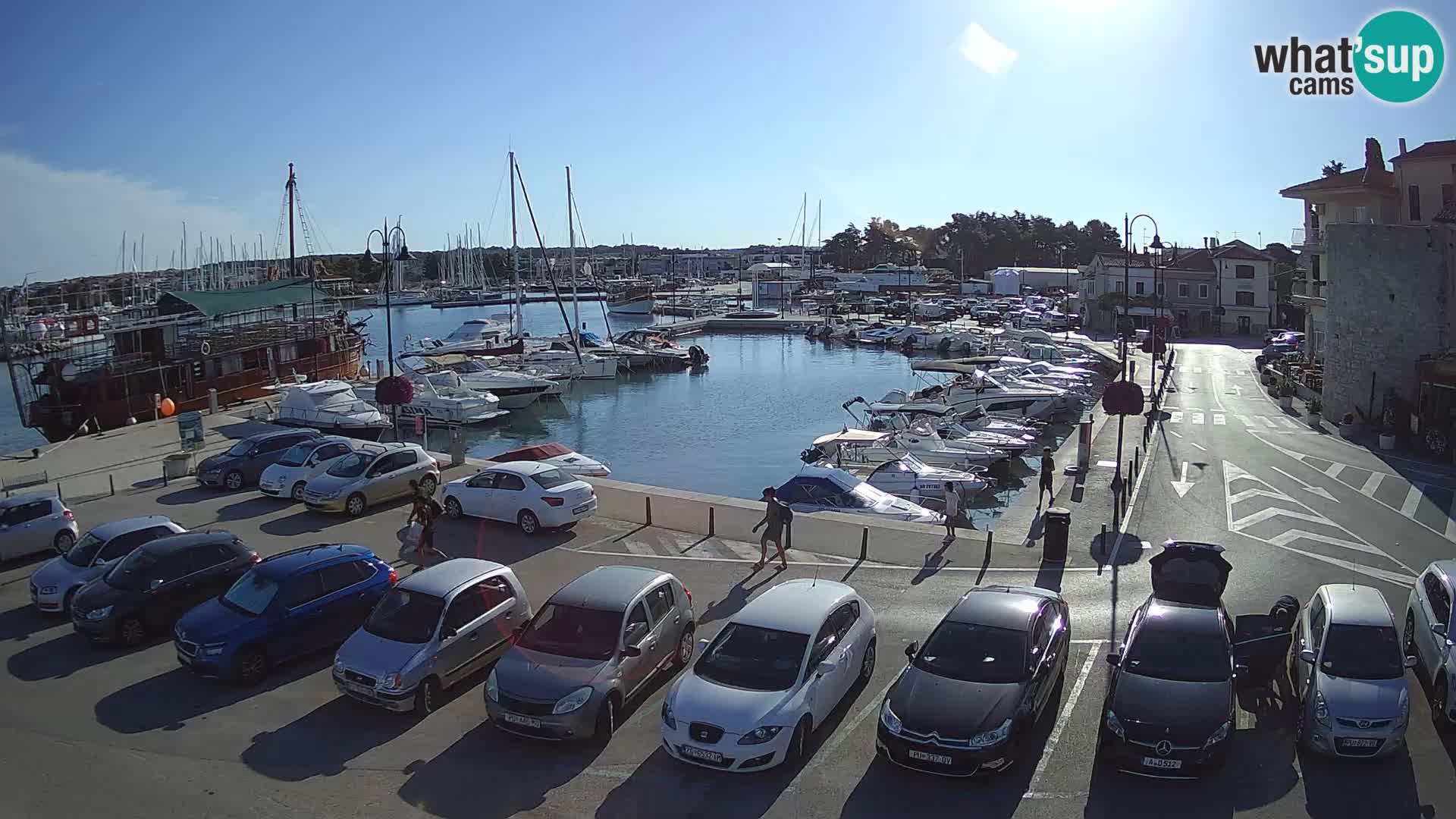 Novigrad | Porporela marina