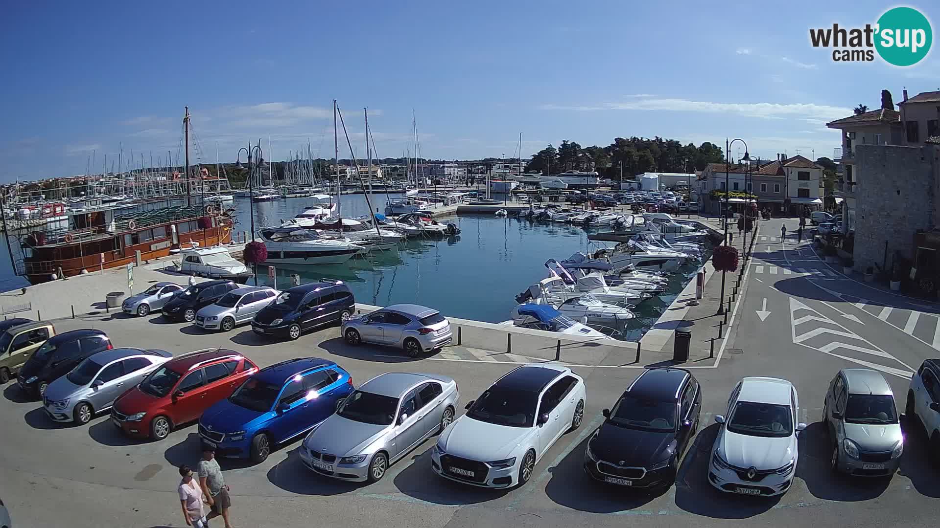 Novigrad | Porporela marina