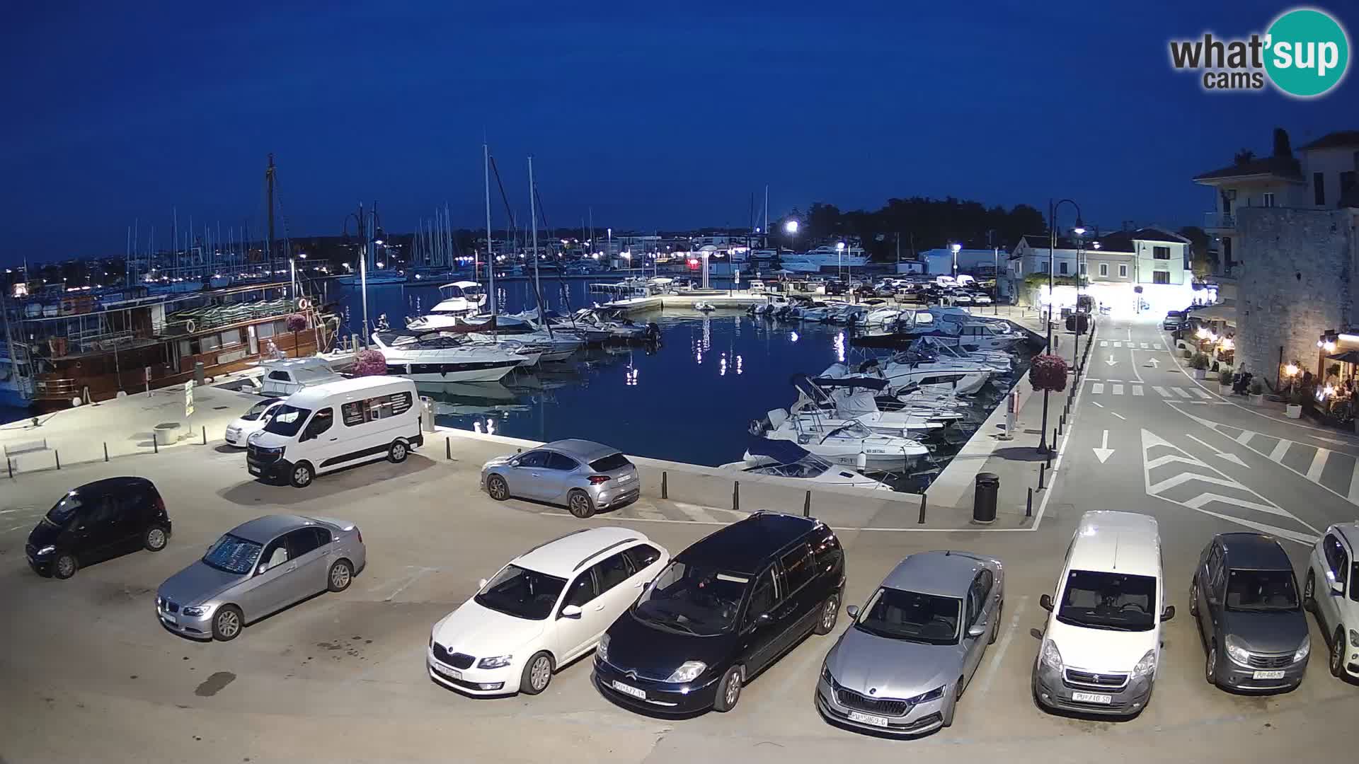 Novigrad | Porporela marina