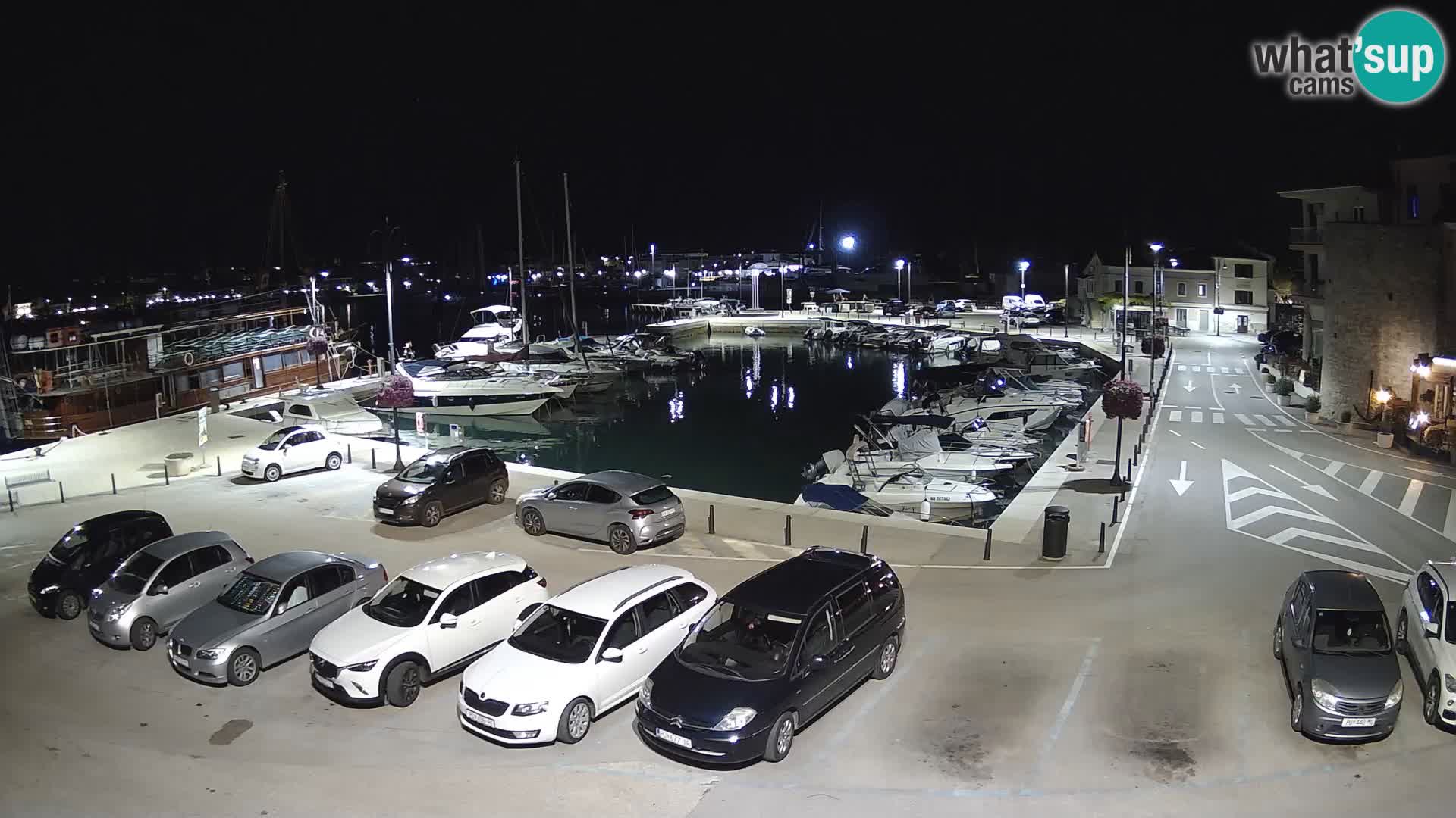 Novigrad | Porporela marina