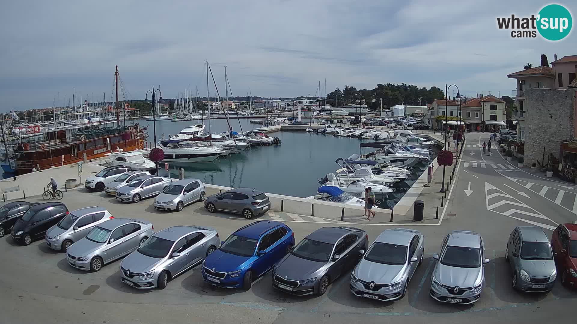 Novigrad | Porporela marina