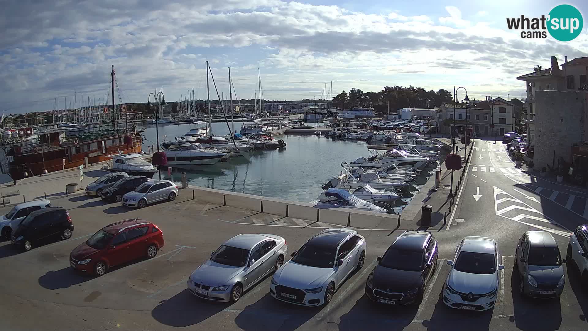 Novigrad | Porporela marina