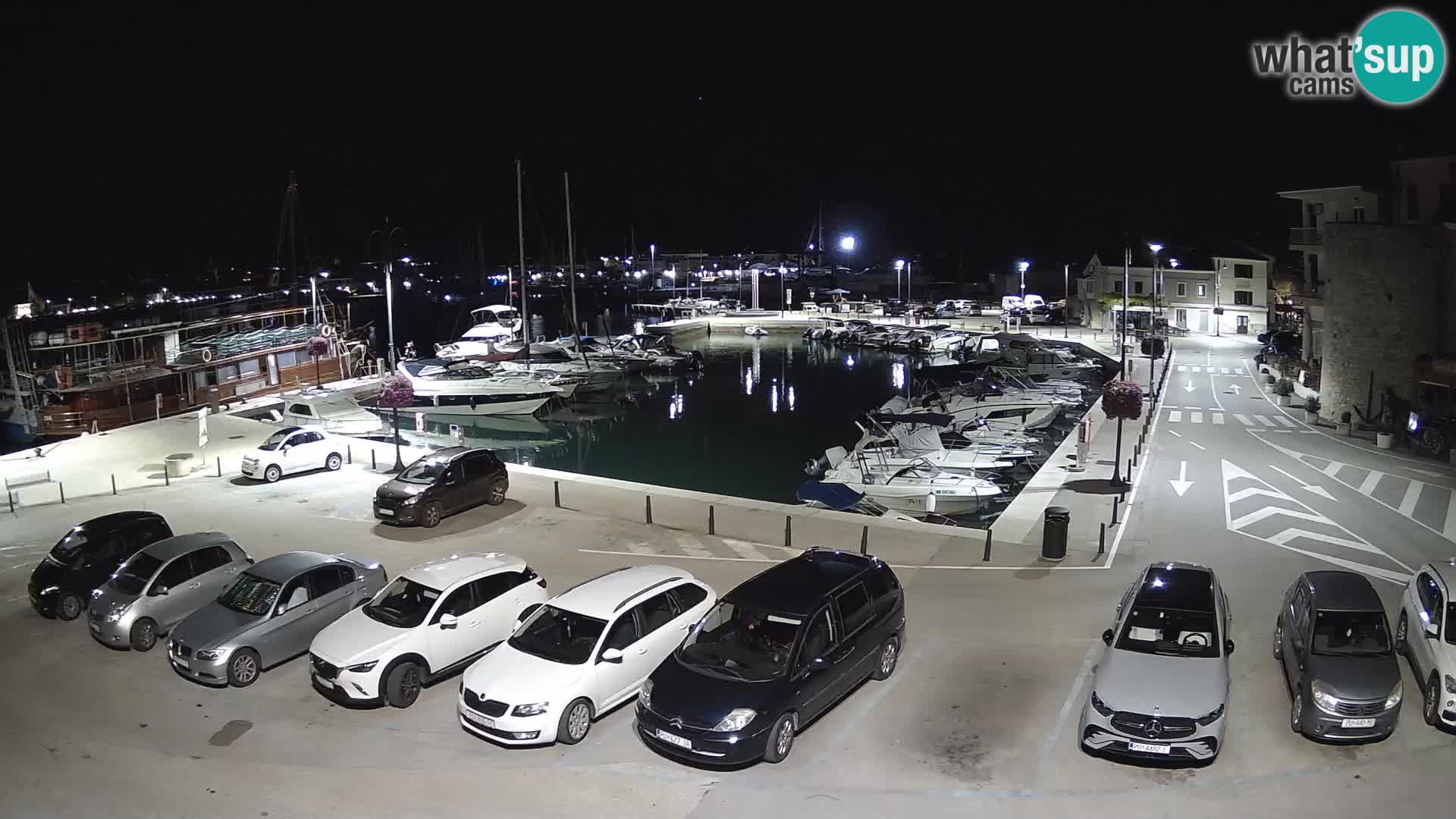 Novigrad | Porporela marina
