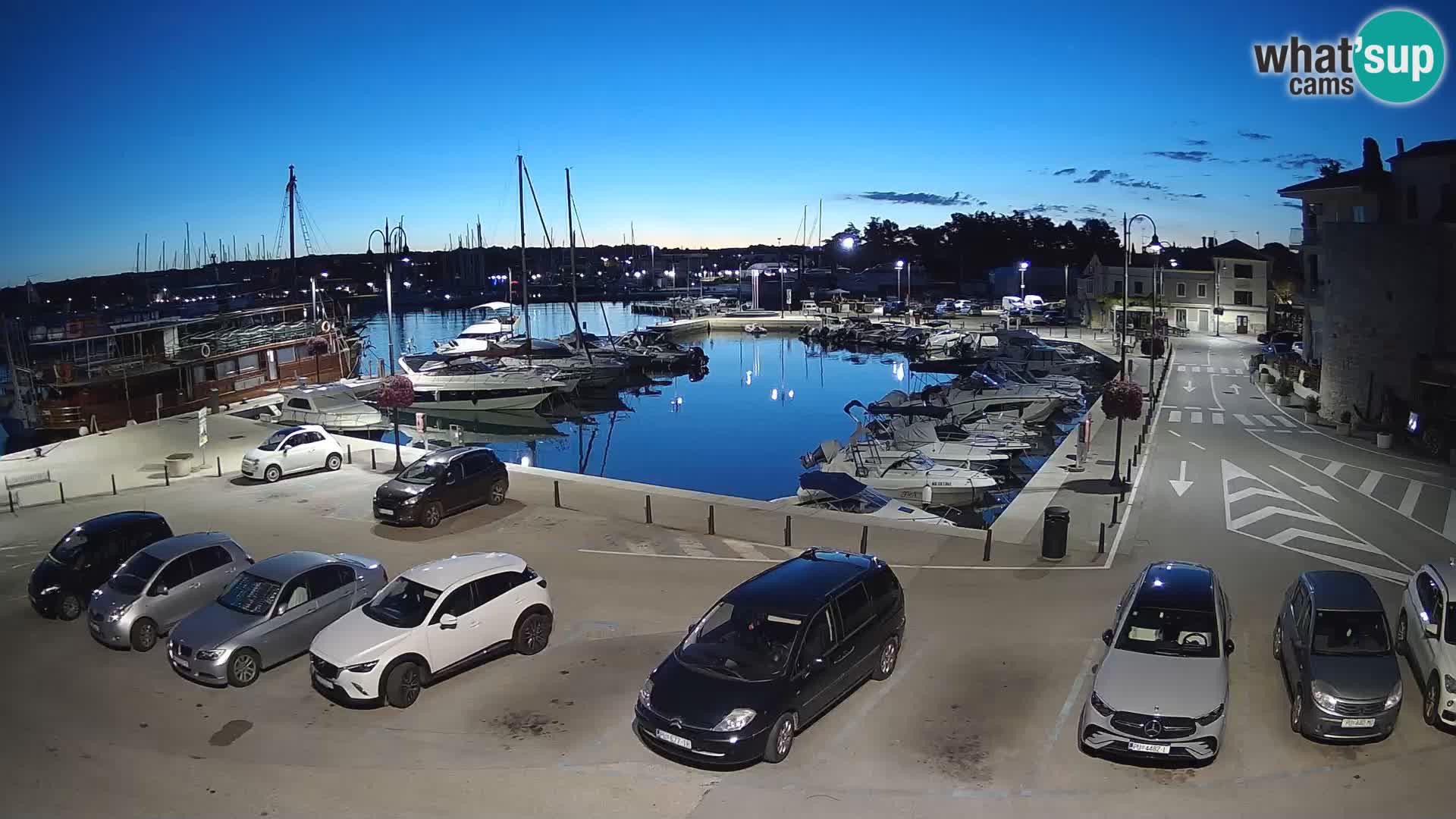 Novigrad | Porporela marina