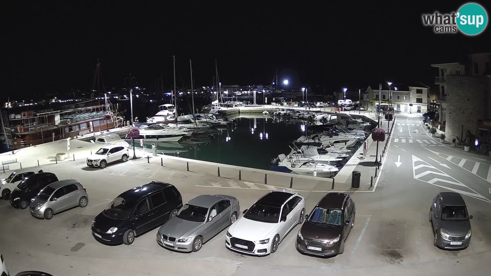 Novigrad | Porporela marina