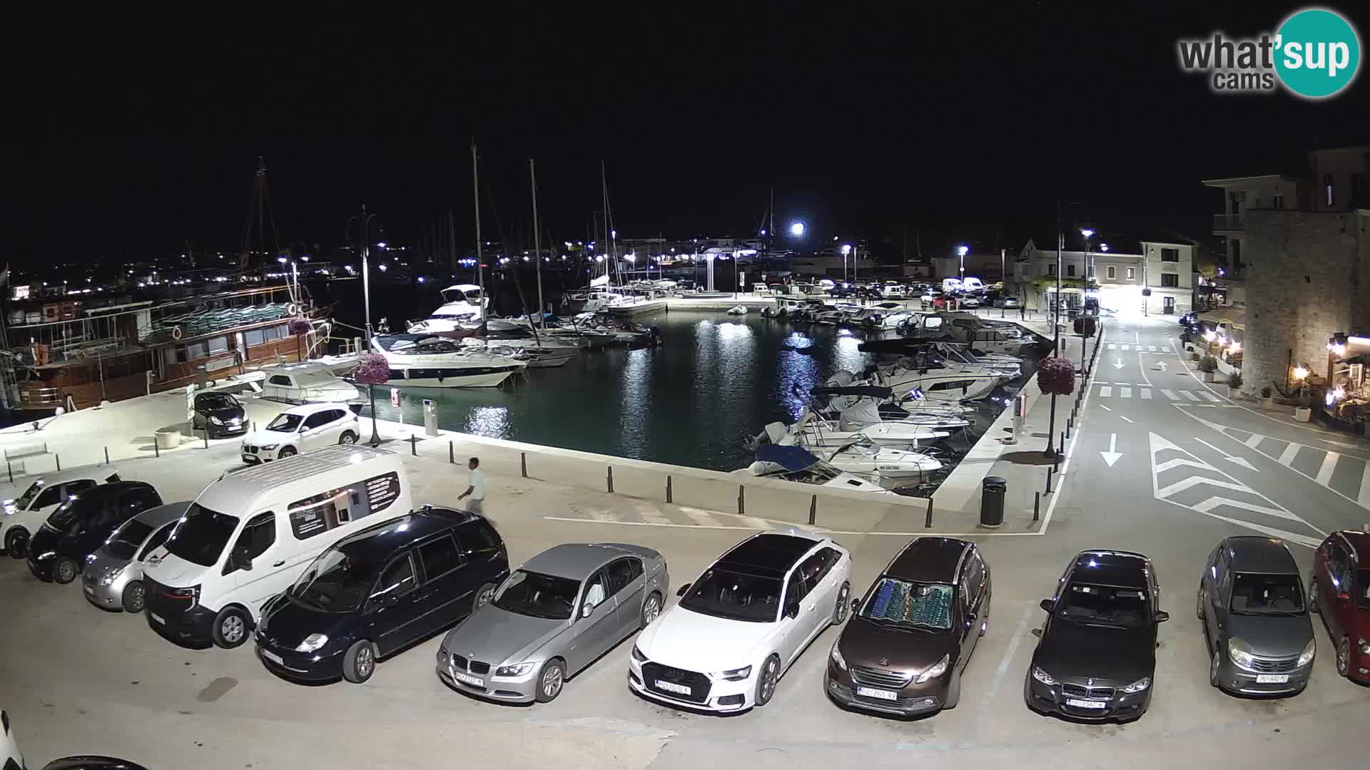 Novigrad | Porporela marina