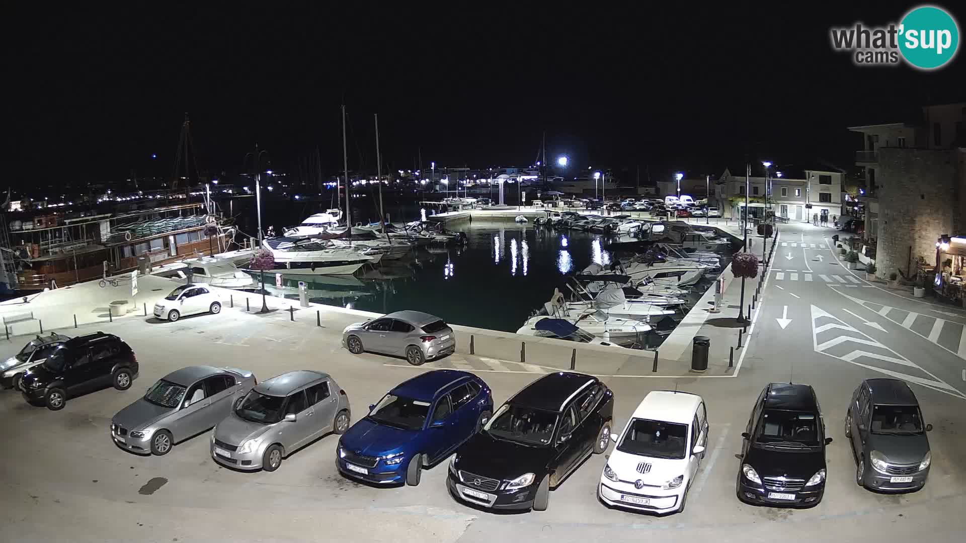 Novigrad | Porporela marina