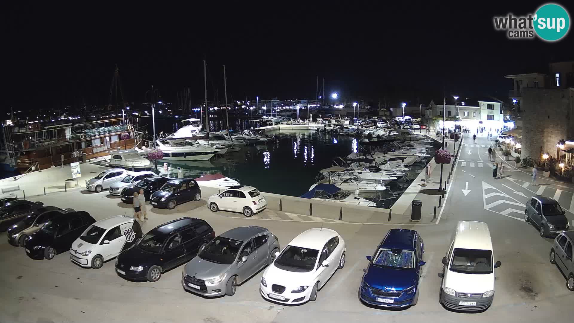 Novigrad | Porporela marina