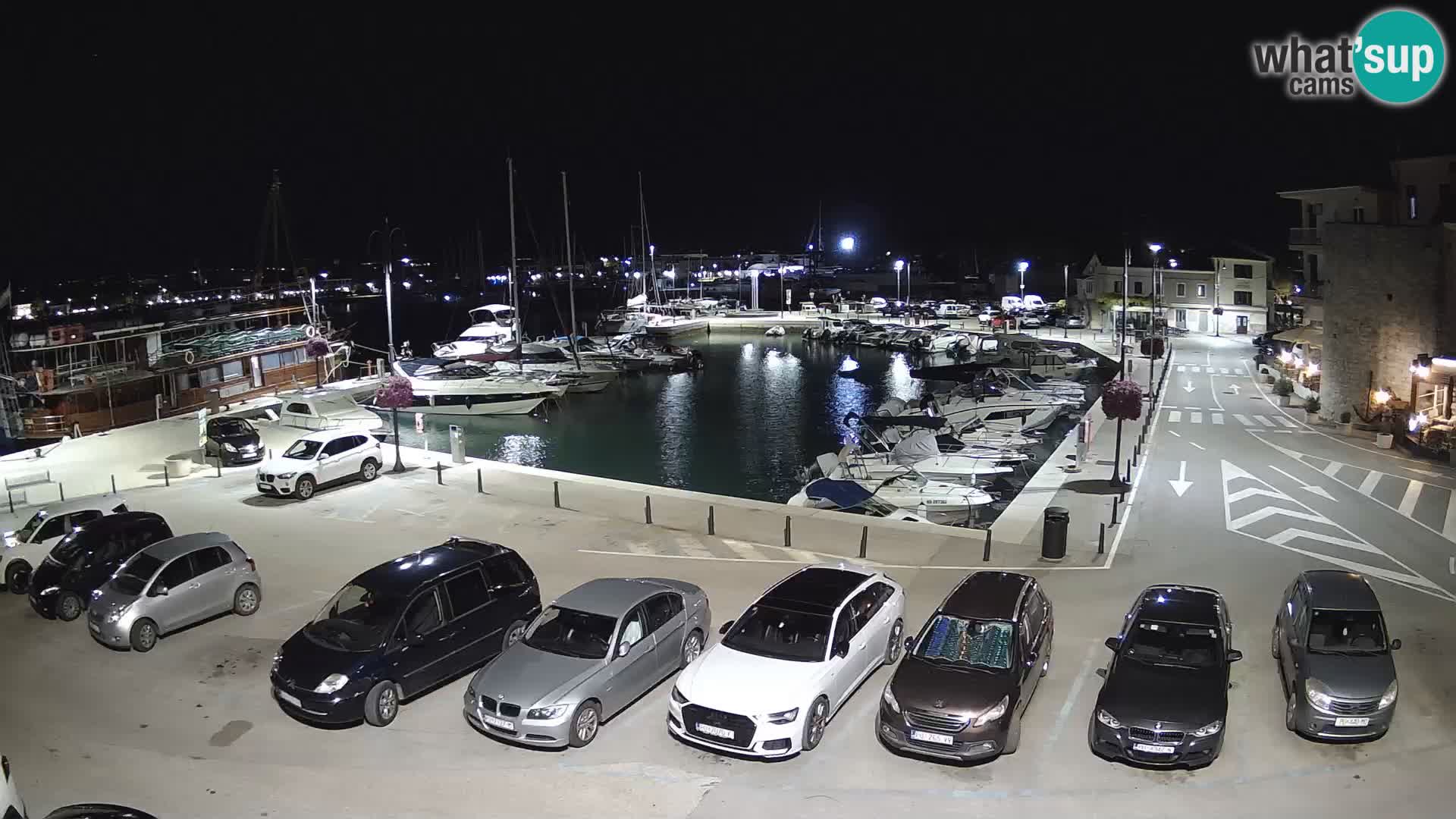 Novigrad | Porporela marina