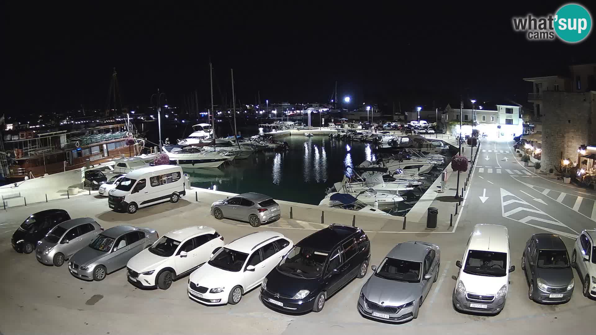 Novigrad | Porporela marina