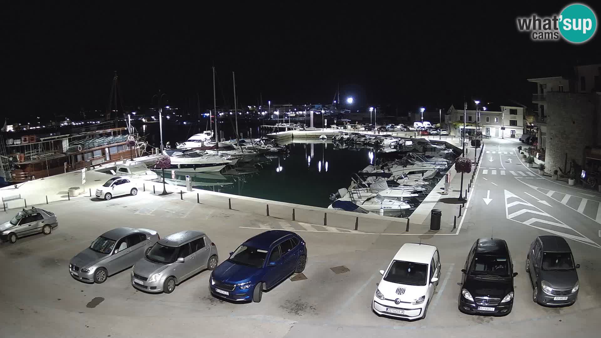 Novigrad | Porporela marina
