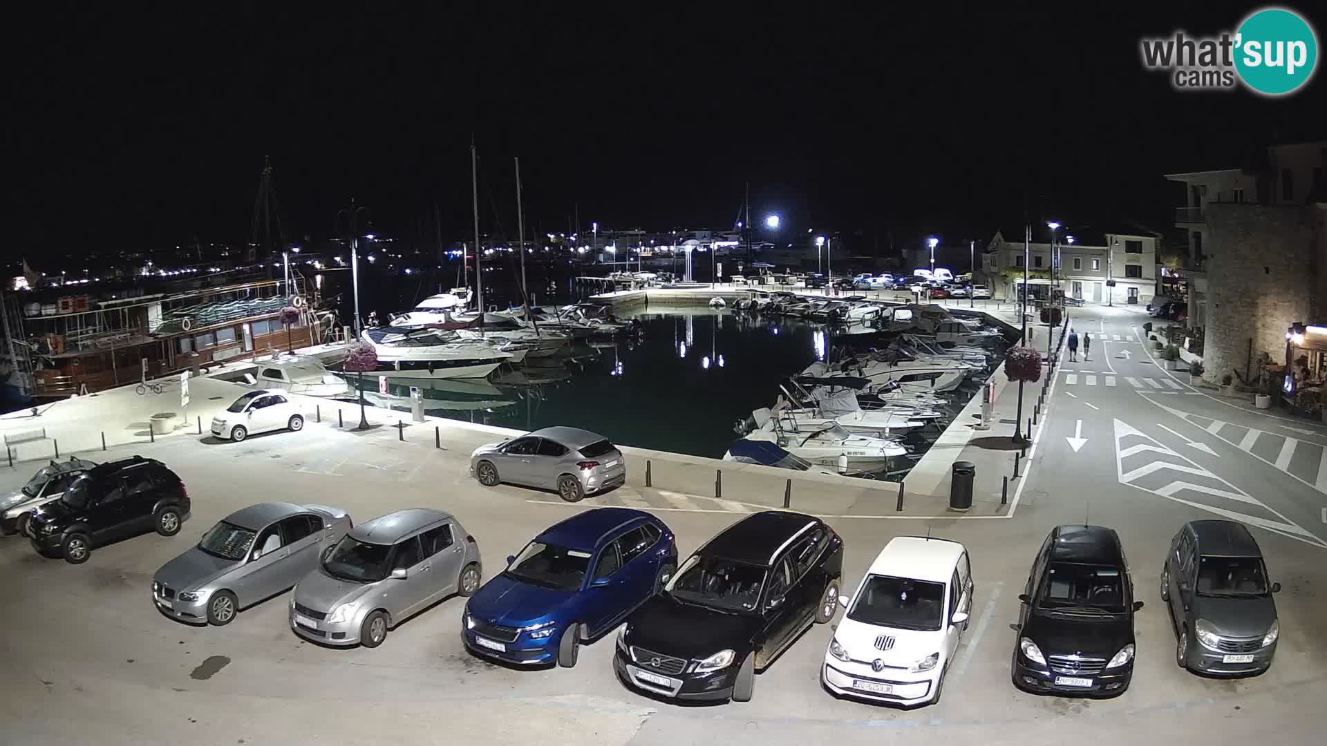 Novigrad | Porporela marina