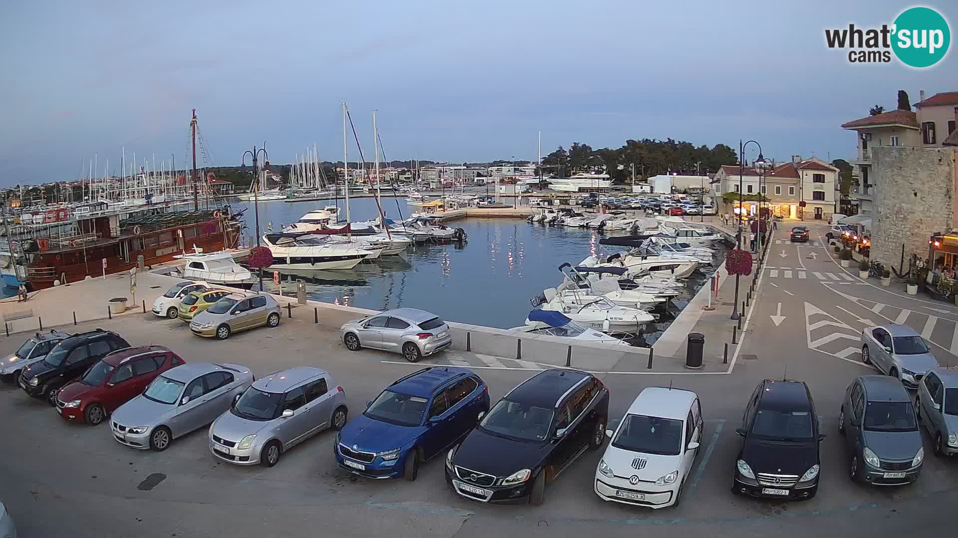 Novigrad | Porporela marina
