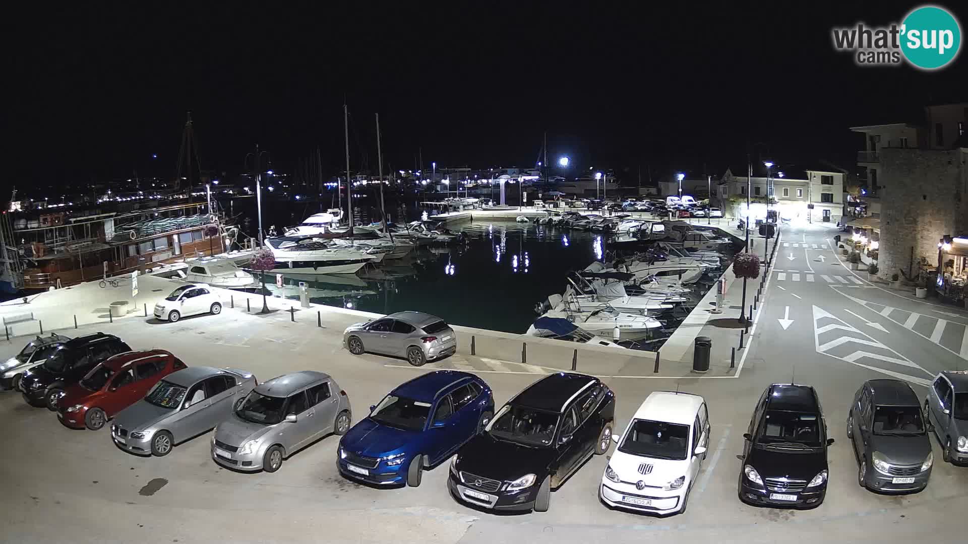 Novigrad | Porporela marina