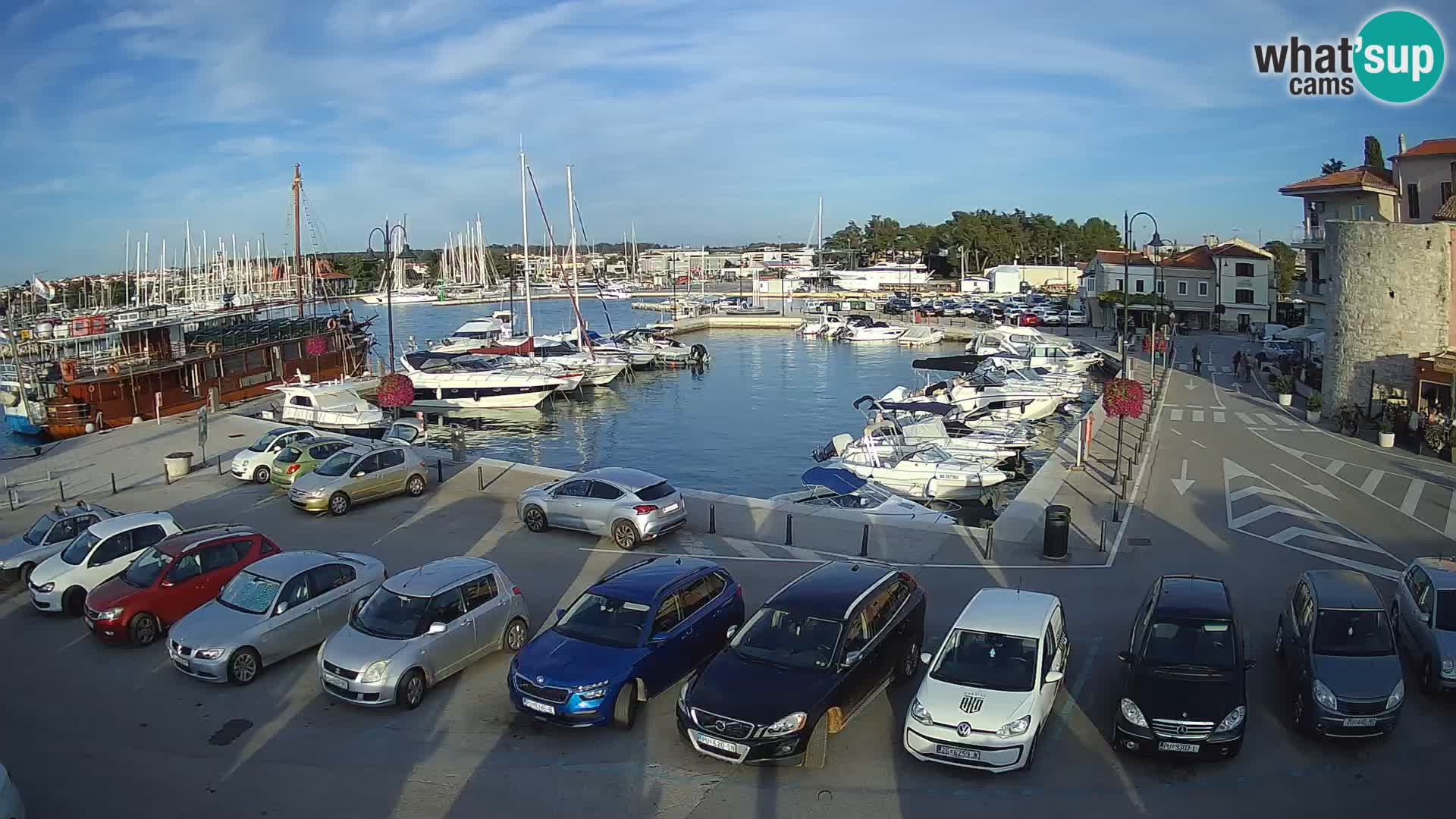 Novigrad | Porporela marina