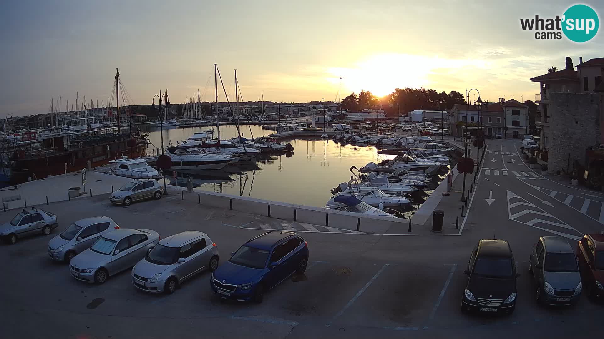 Novigrad | Porporela marina