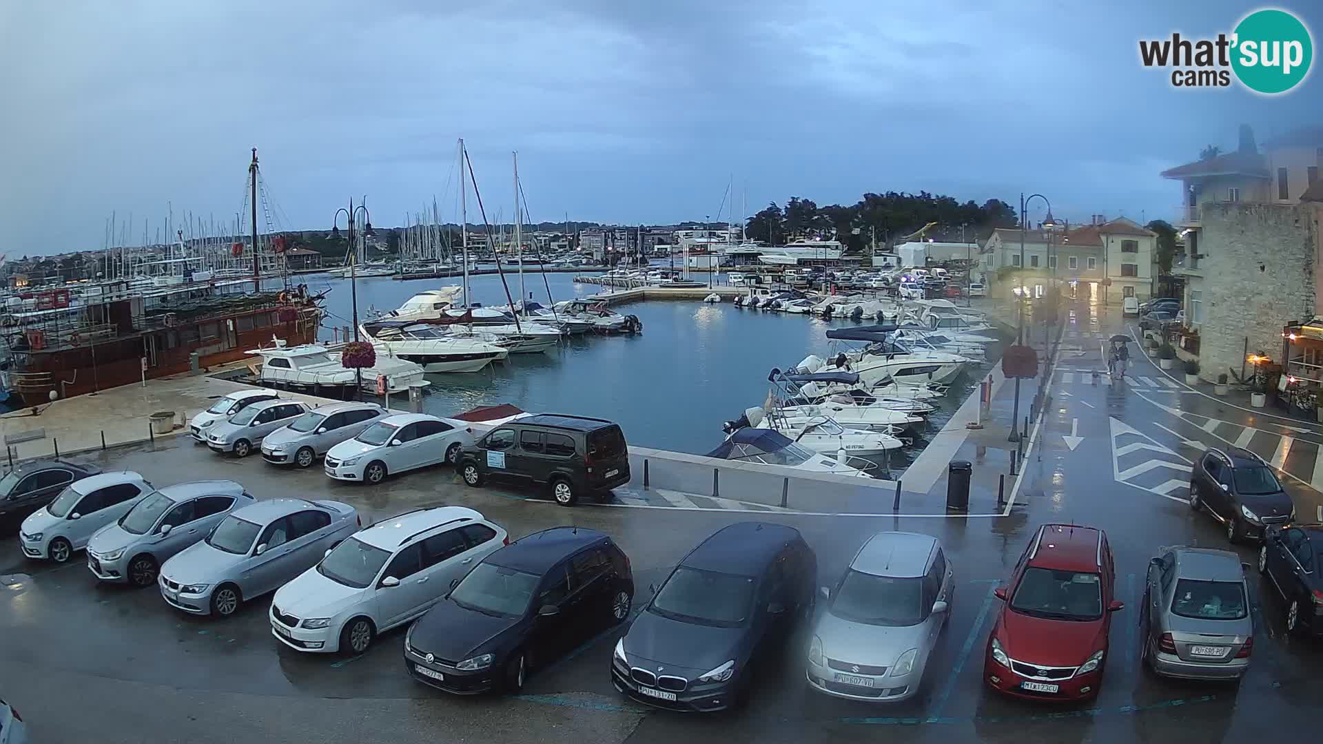 Novigrad | Porporela marina