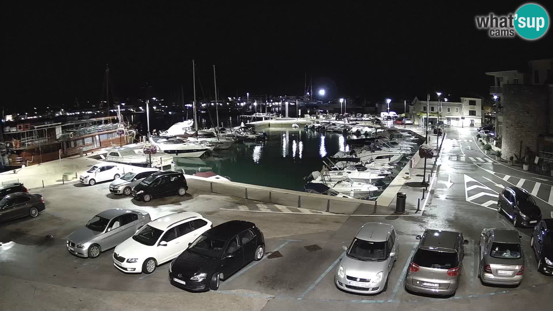 Novigrad | Porporela marina