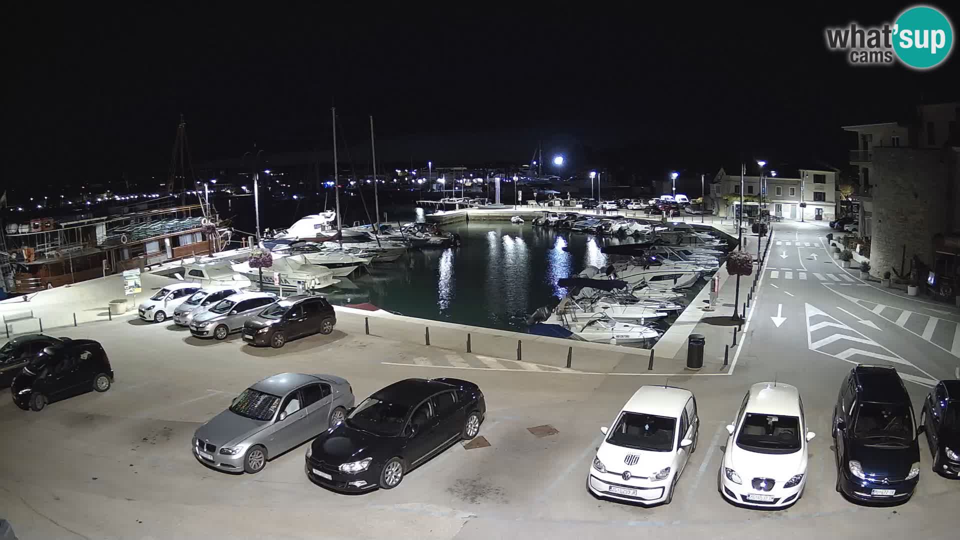 Novigrad | Porporela marina