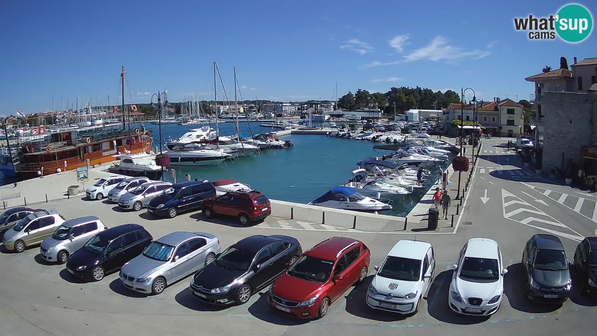 Novigrad | Porporela marina