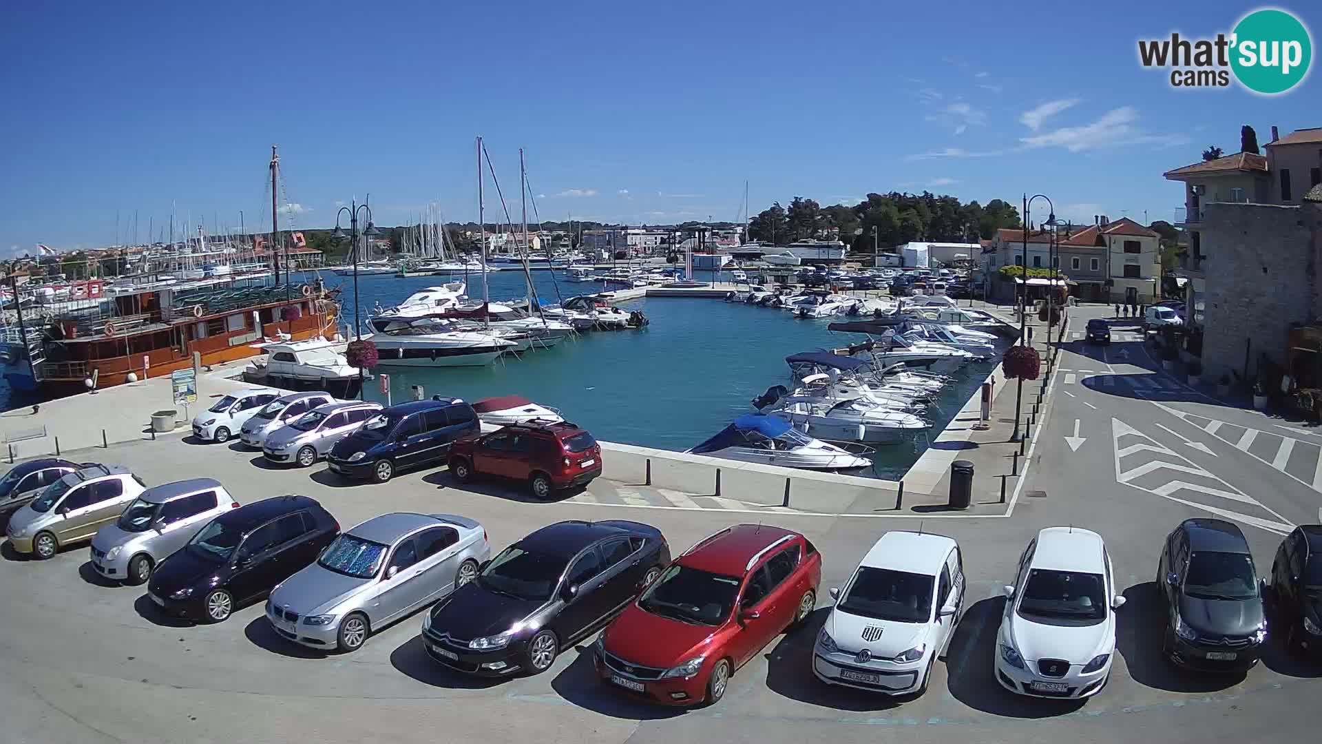 Novigrad | Porporela marina