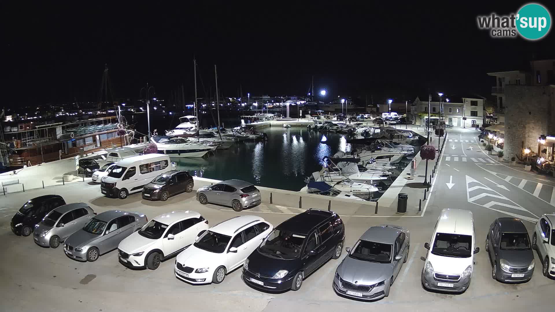Novigrad | Porporela marina