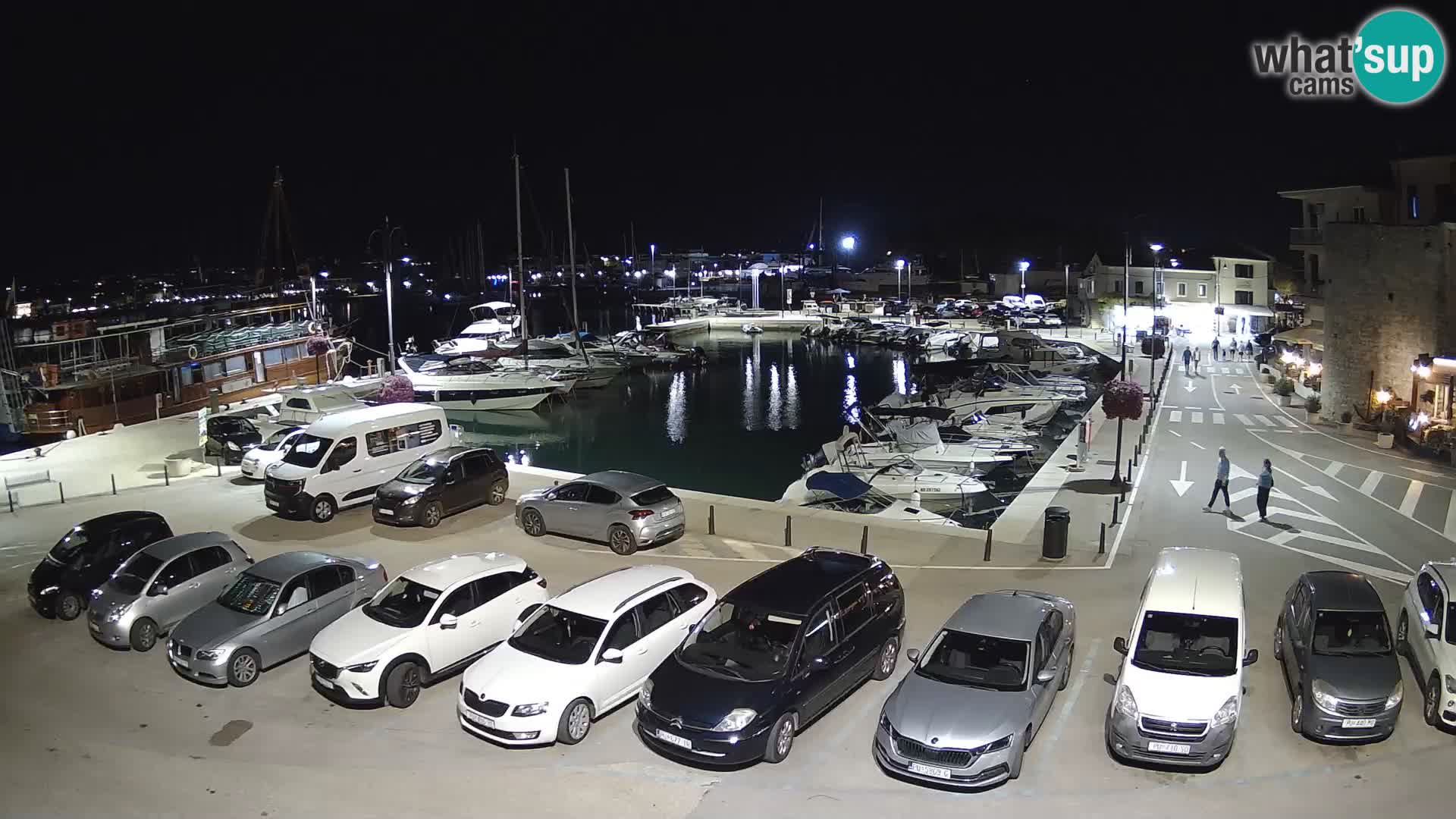 Novigrad | Porporela marina
