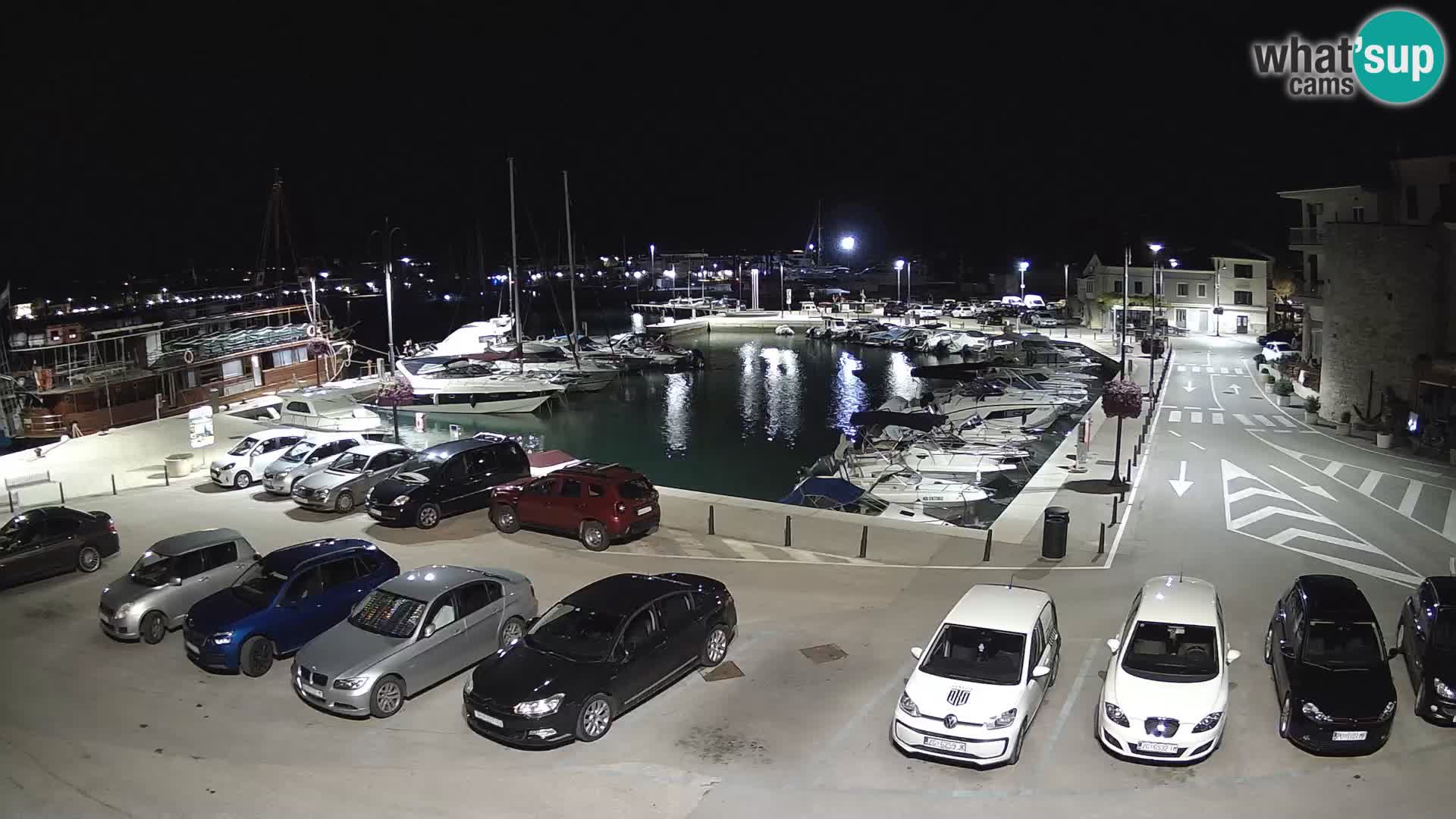 Novigrad | Porporela marina