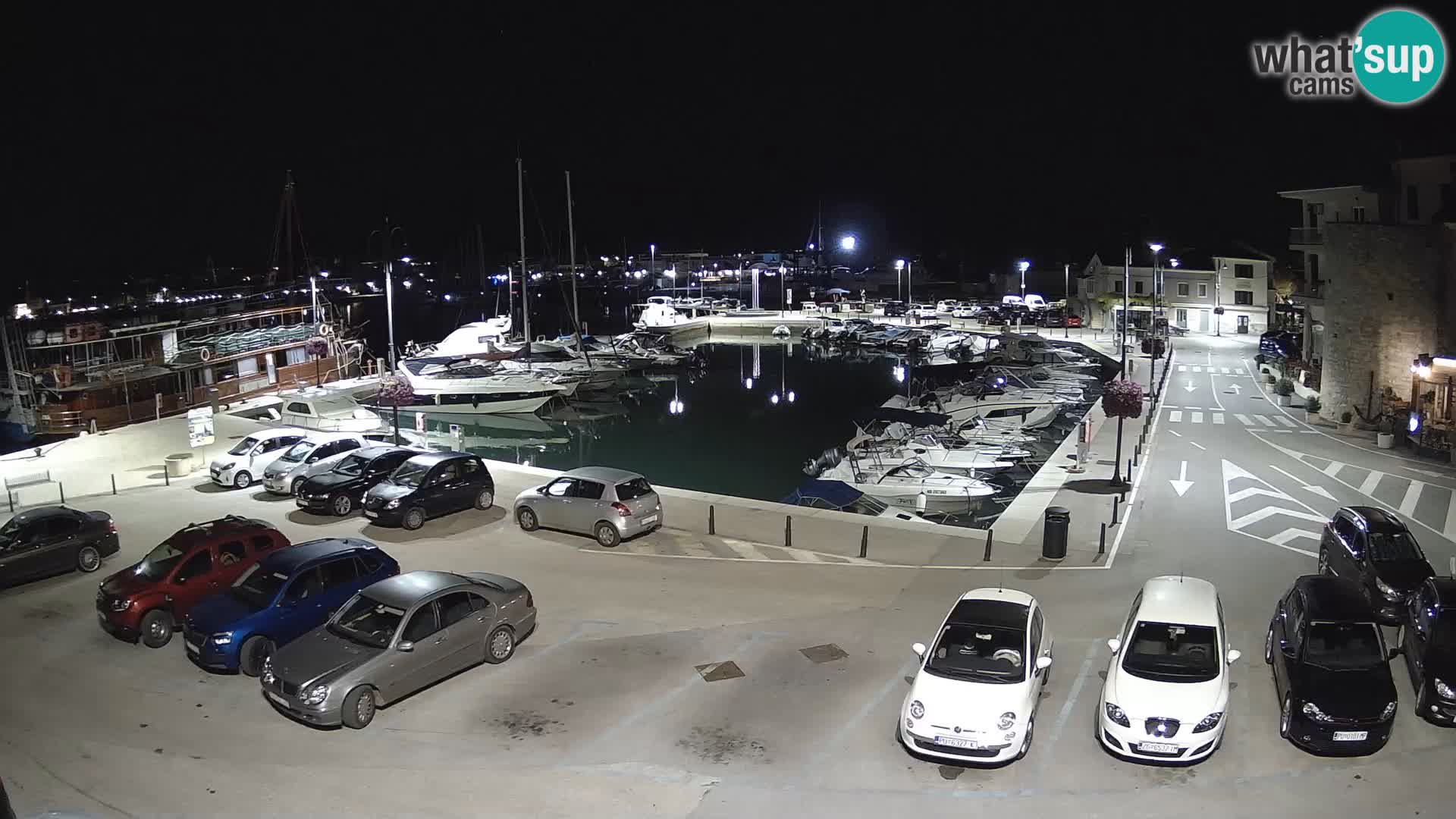 Novigrad | Porporela marina