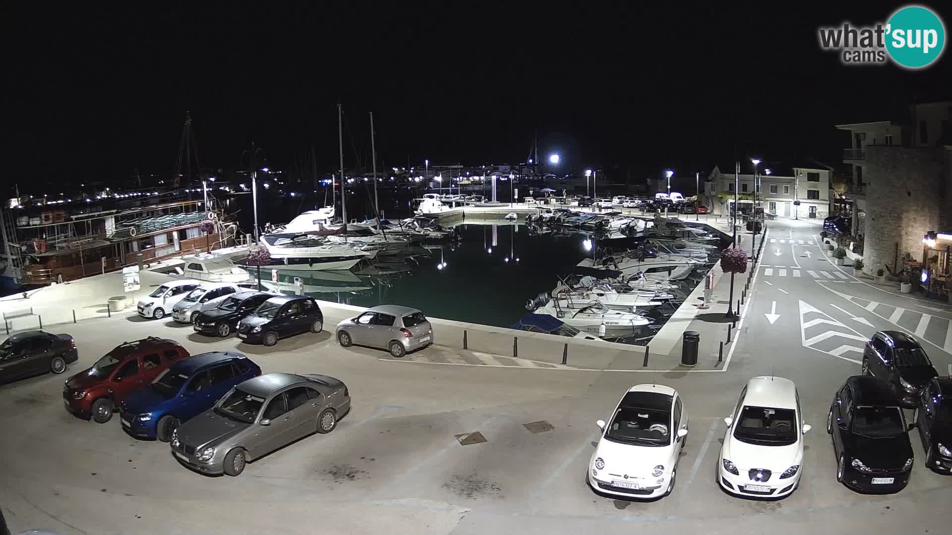 Novigrad | Porporela marina
