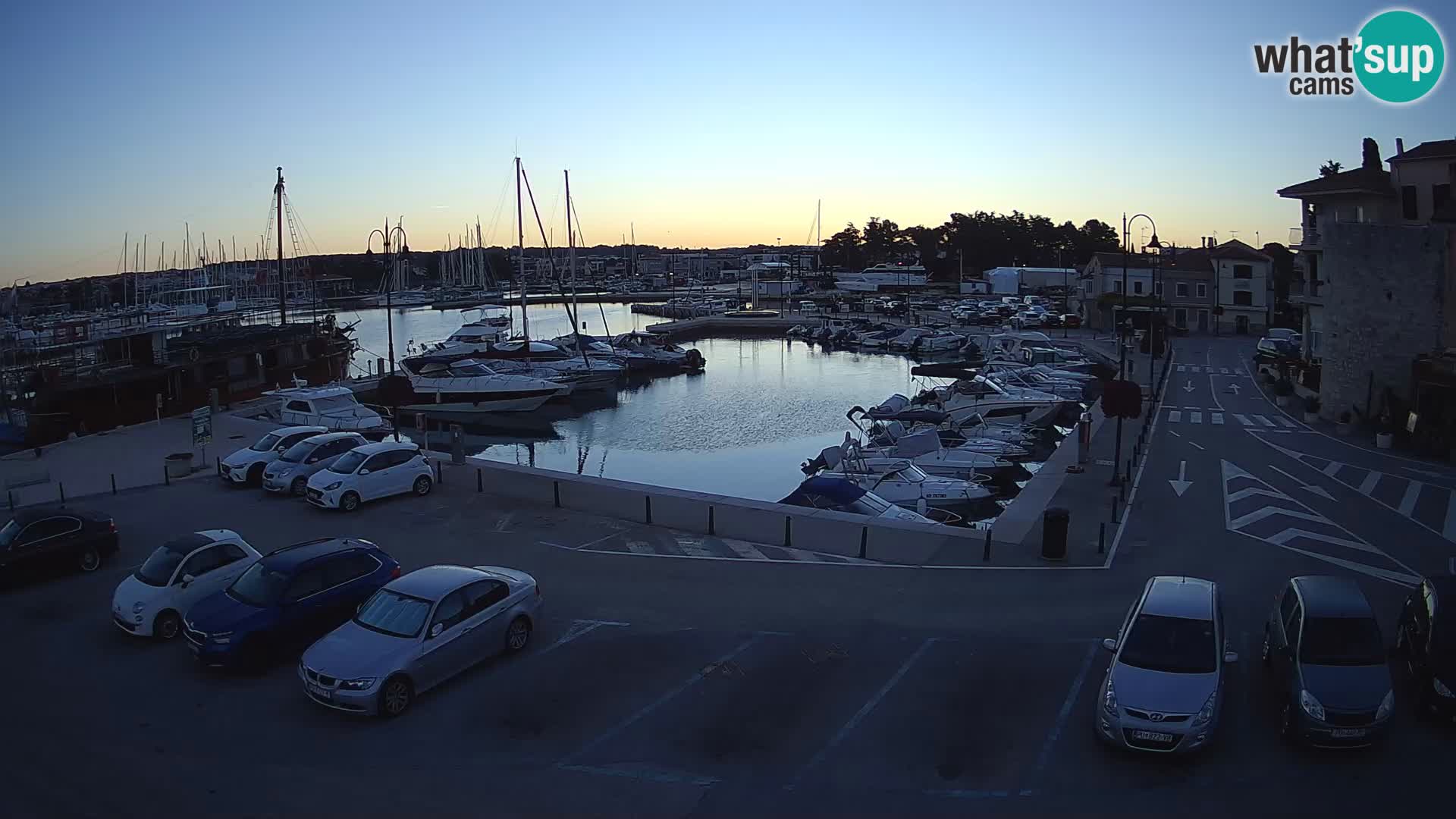 Novigrad | Porporela marina