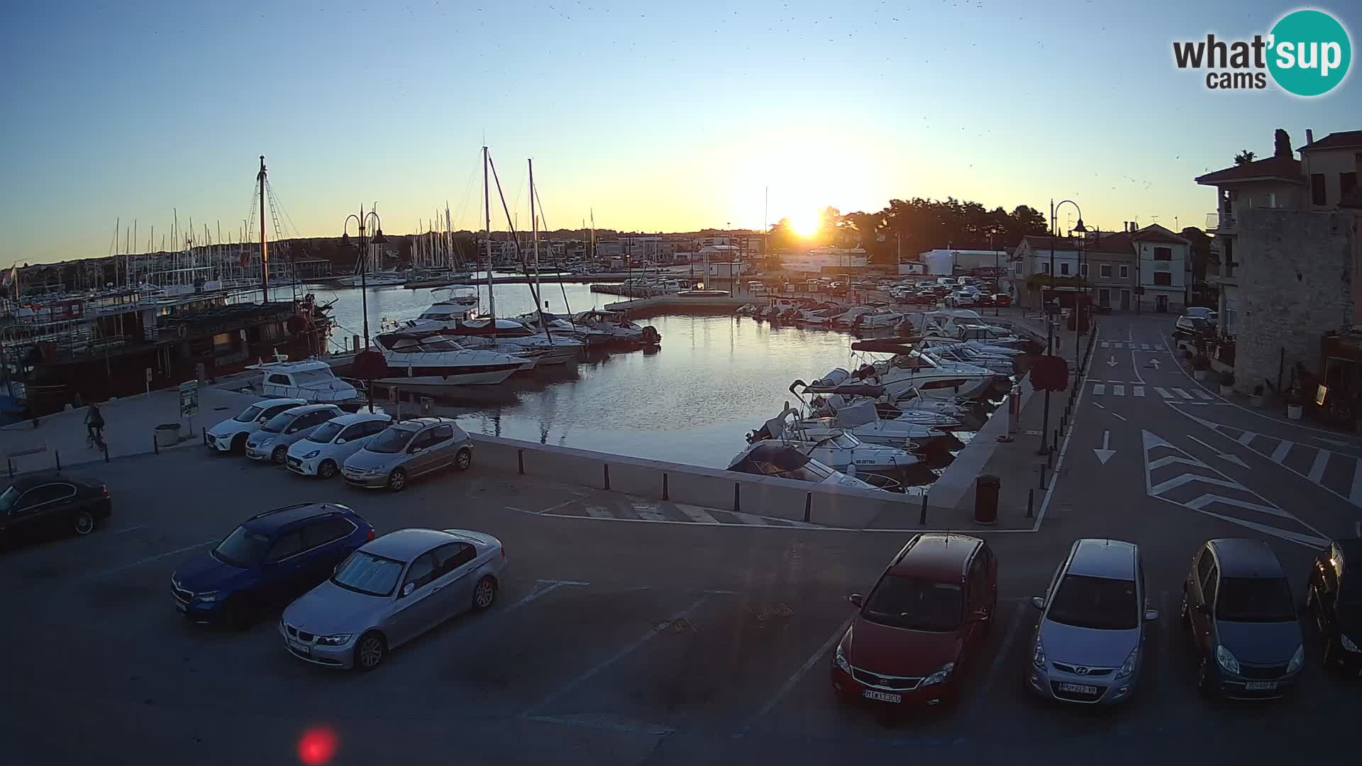 Novigrad | Porporela marina