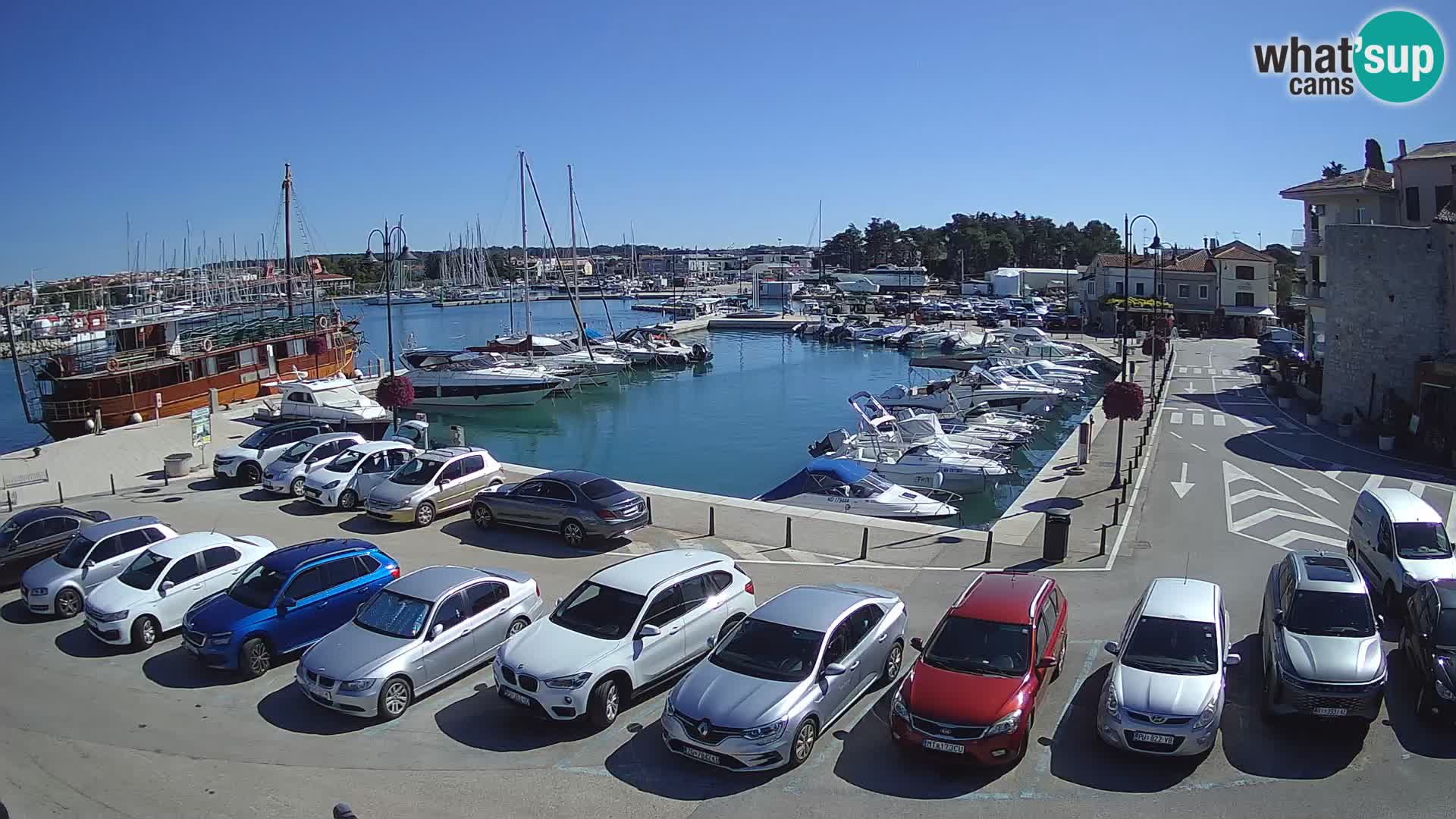Novigrad | Porporela marina